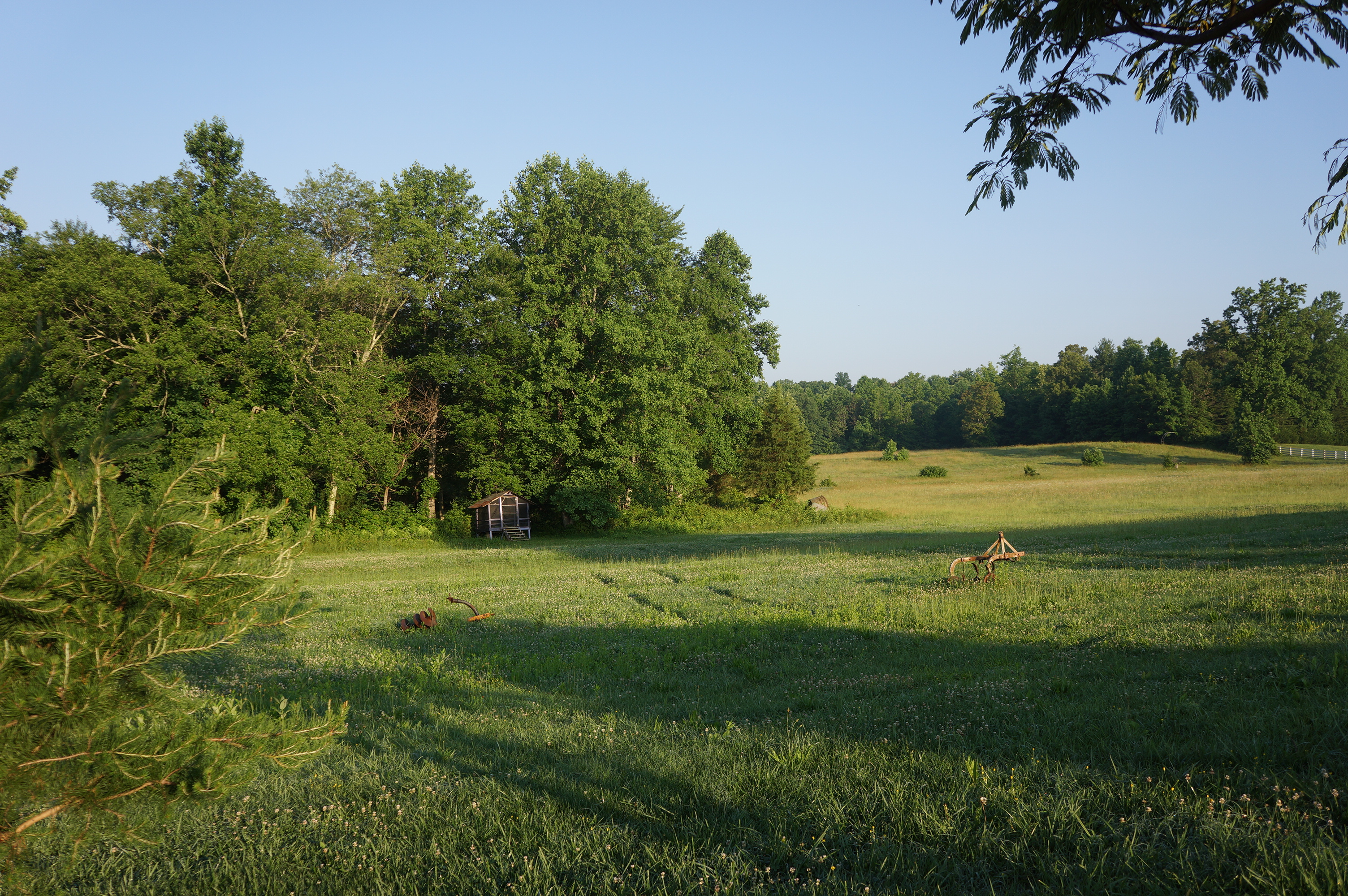 Free download high resolution image - free image free photo free stock image public domain picture -Green pasture with blue sky