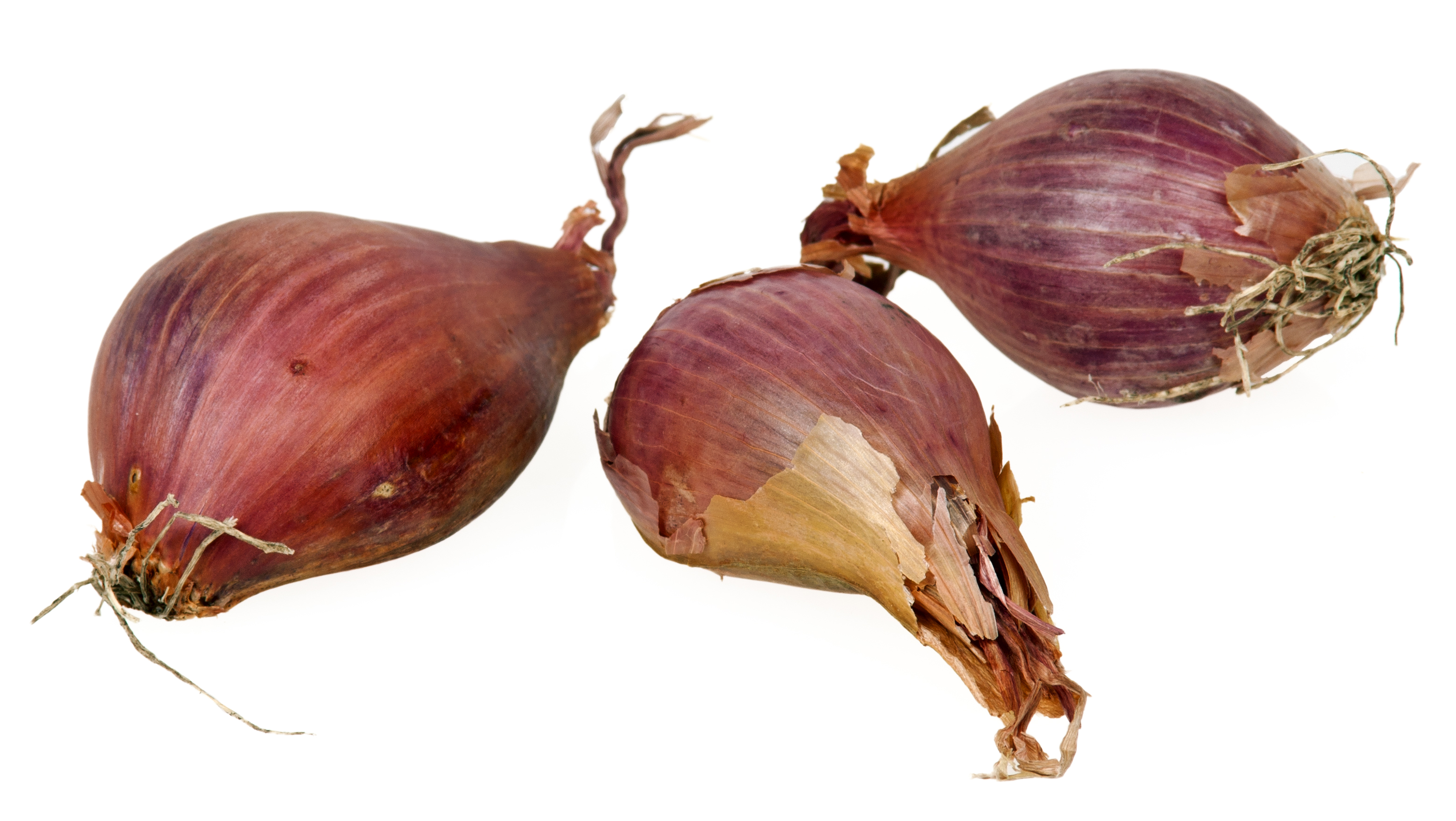 Free download high resolution image - free image free photo free stock image public domain picture -Group of fresh shallots