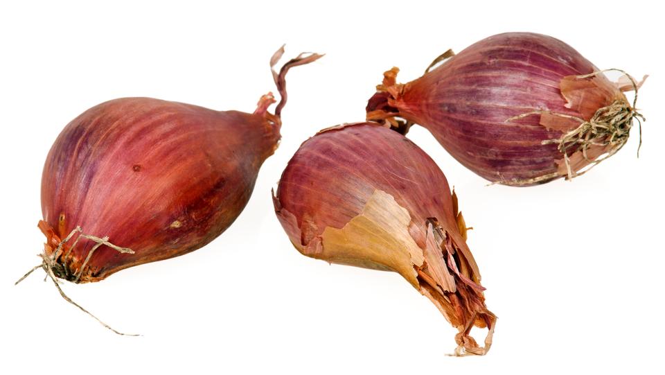 Free download high resolution image - free image free photo free stock image public domain picture  Group of fresh shallots