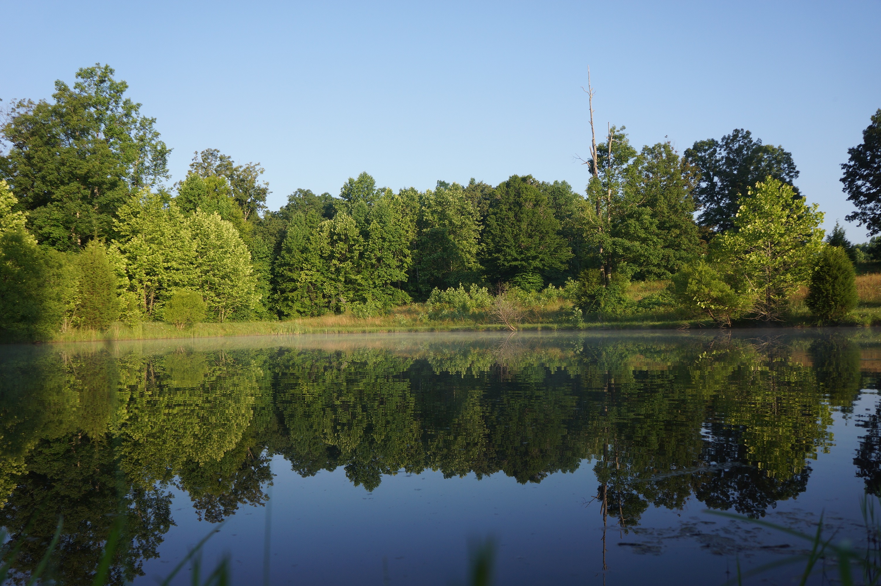 Free download high resolution image - free image free photo free stock image public domain picture -morning on a pond