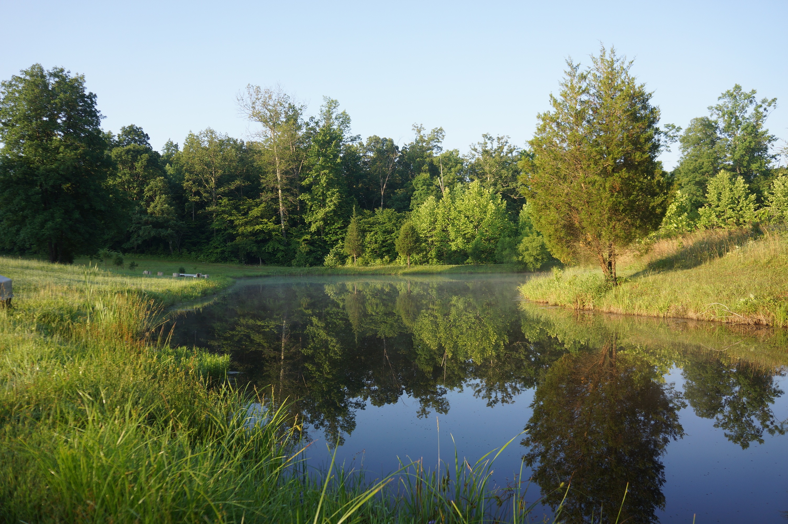 Free download high resolution image - free image free photo free stock image public domain picture -morning on a pond