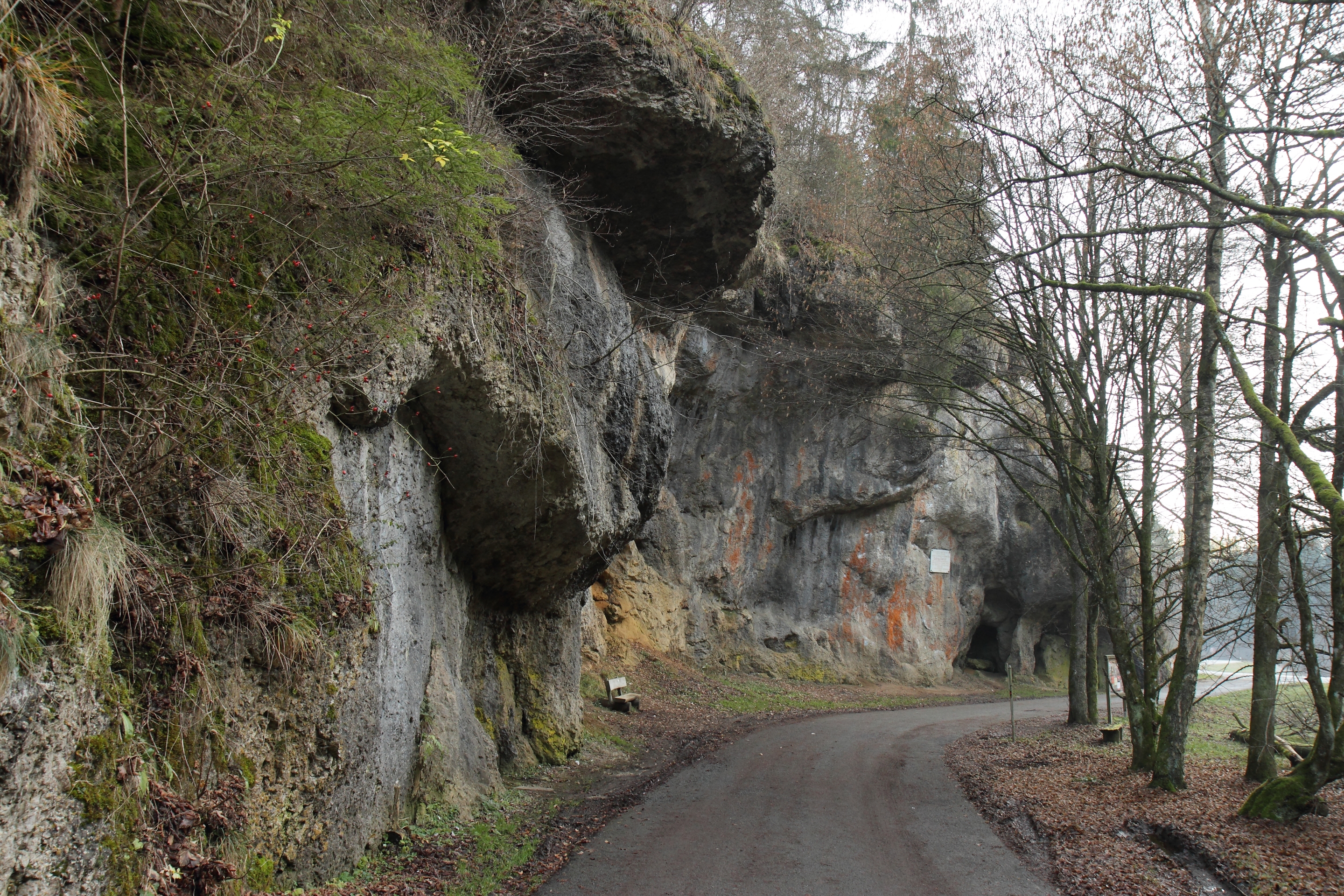 Free download high resolution image - free image free photo free stock image public domain picture -Scenic road