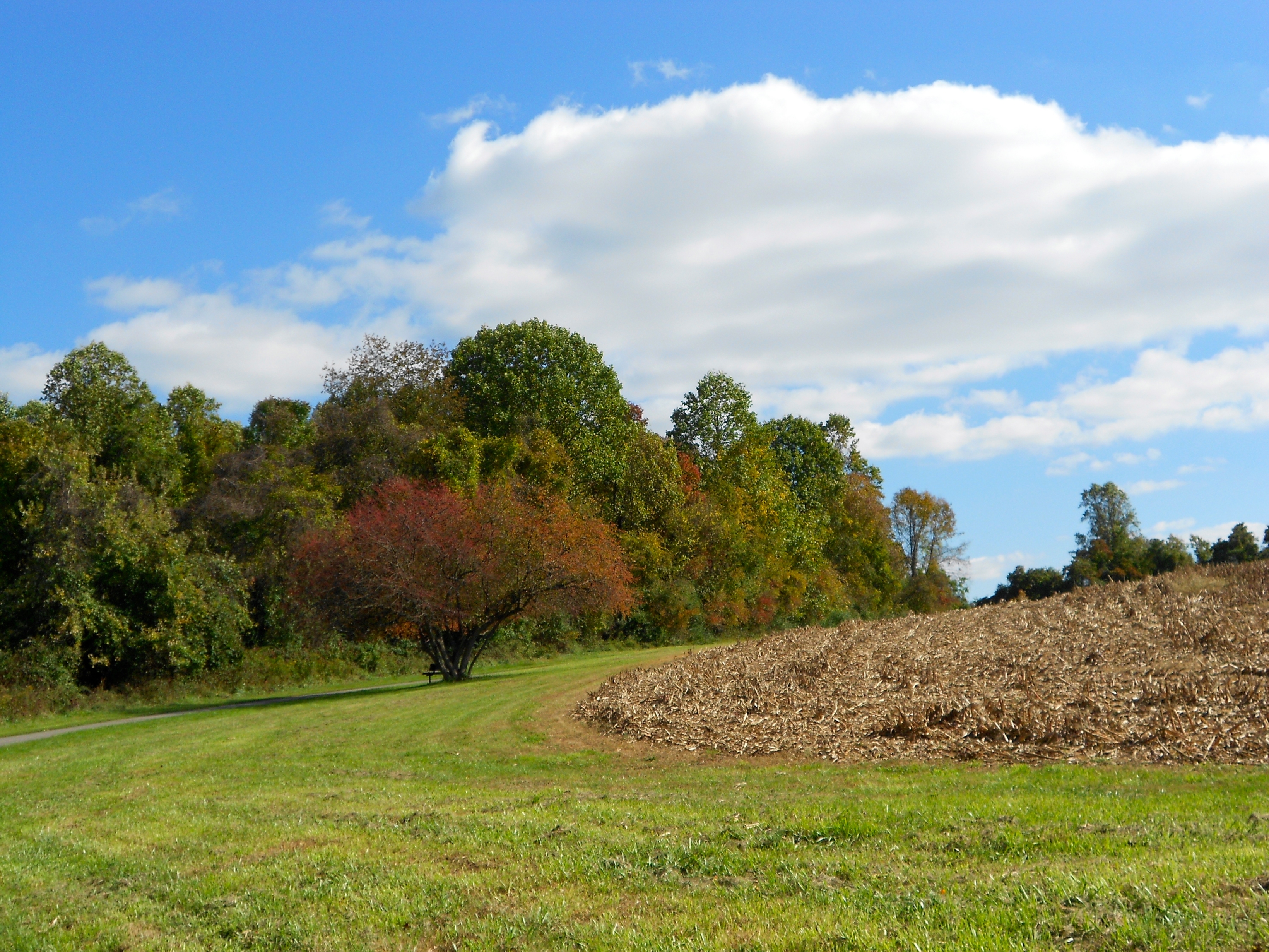 Free download high resolution image - free image free photo free stock image public domain picture -Creek State Park Pennsylvania, in Delaware County