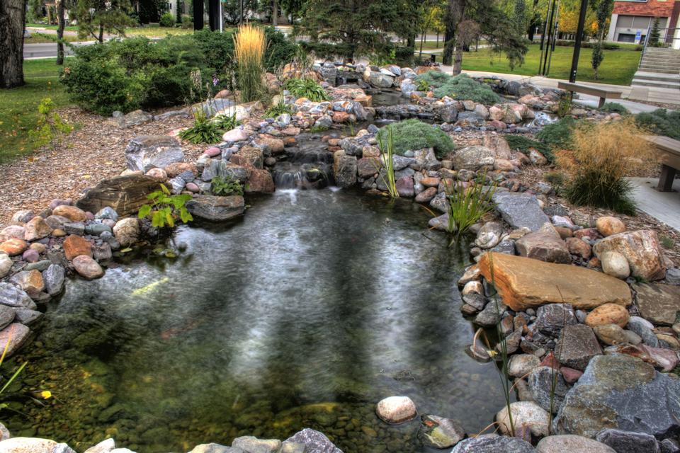 Free download high resolution image - free image free photo free stock image public domain picture  Pool in rock garden on Edmonton