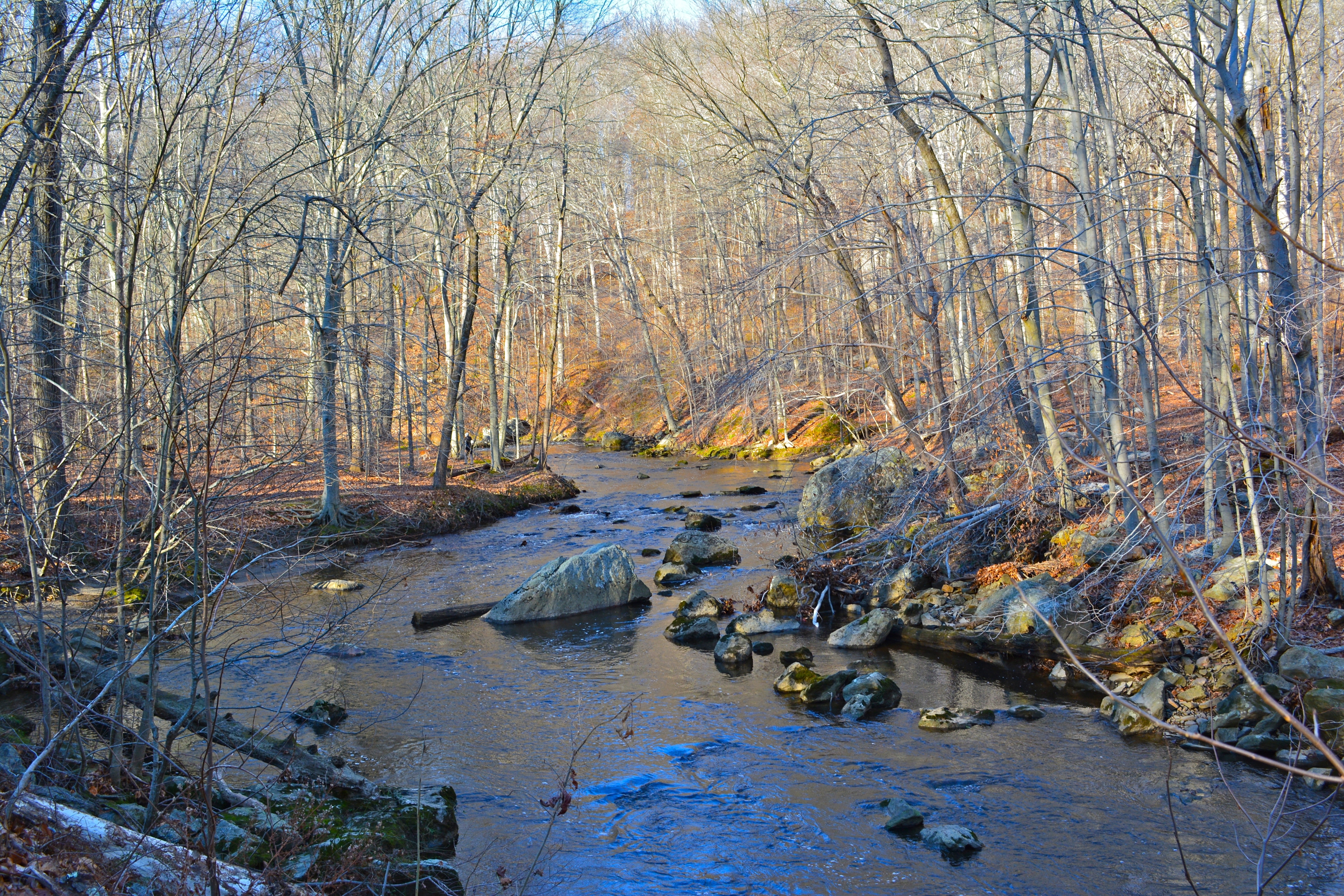 Free download high resolution image - free image free photo free stock image public domain picture -Ridley Creek in Ridley Creek State Park