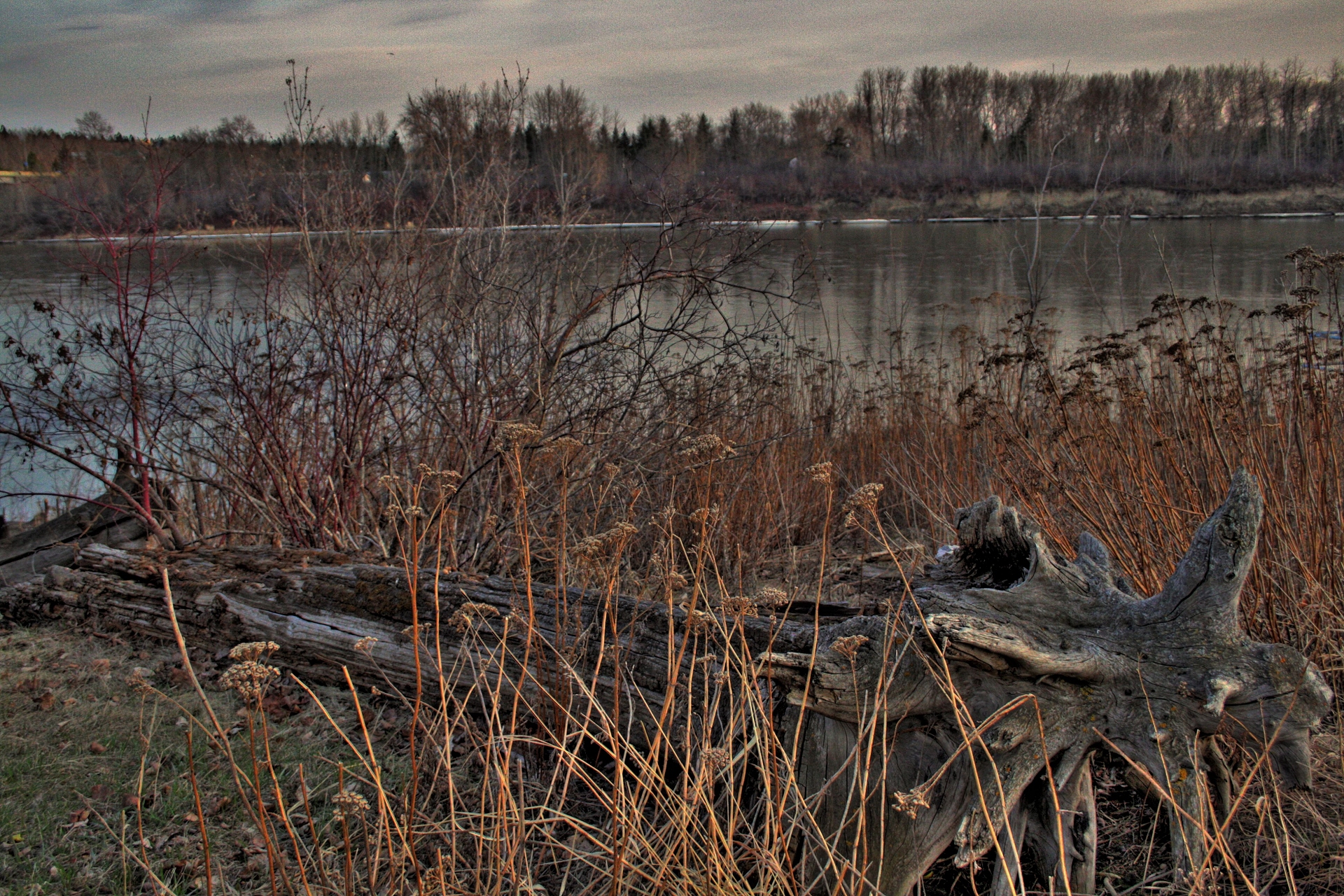 Free download high resolution image - free image free photo free stock image public domain picture -A piece of weathered driftwood