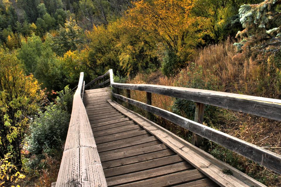 Free download high resolution image - free image free photo free stock image public domain picture  A wooden staircase in North Saskatchewan River valley