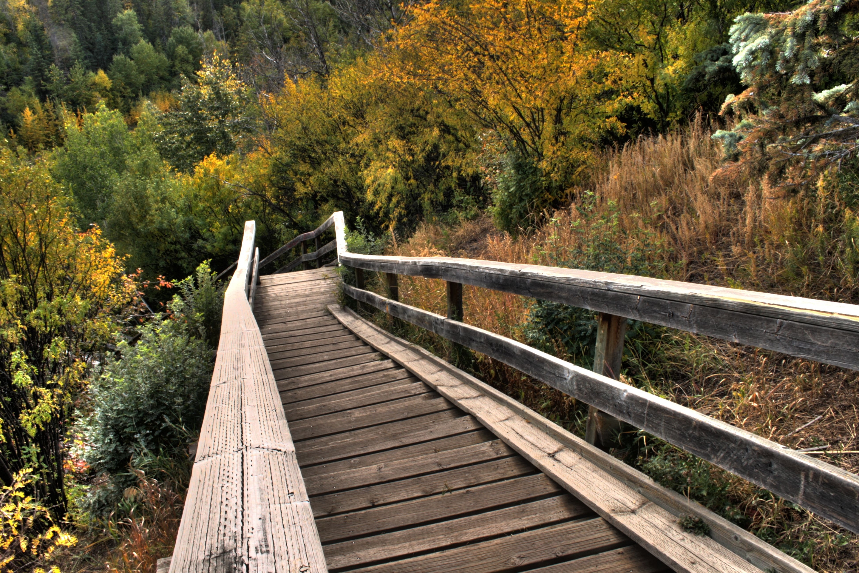 Free download high resolution image - free image free photo free stock image public domain picture -A wooden staircase in North Saskatchewan River valley