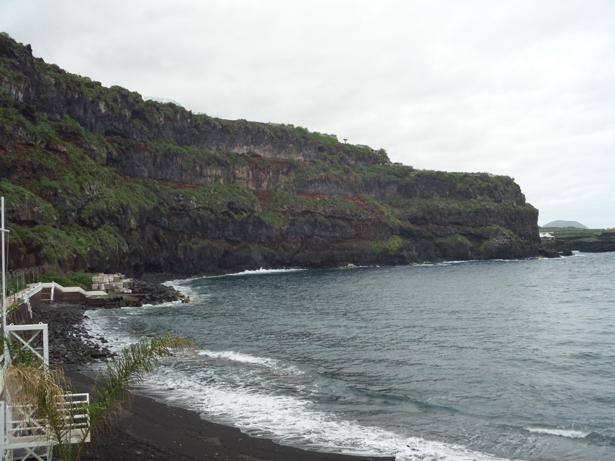 Free download high resolution image - free image free photo free stock image public domain picture -Dracaena draco in Icod de los VInos, Tenerife, Spain