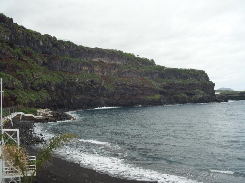 Free download high resolution image - free image free photo free stock image public domain picture  Dracaena draco in Icod de los VInos, Tenerife, Spain