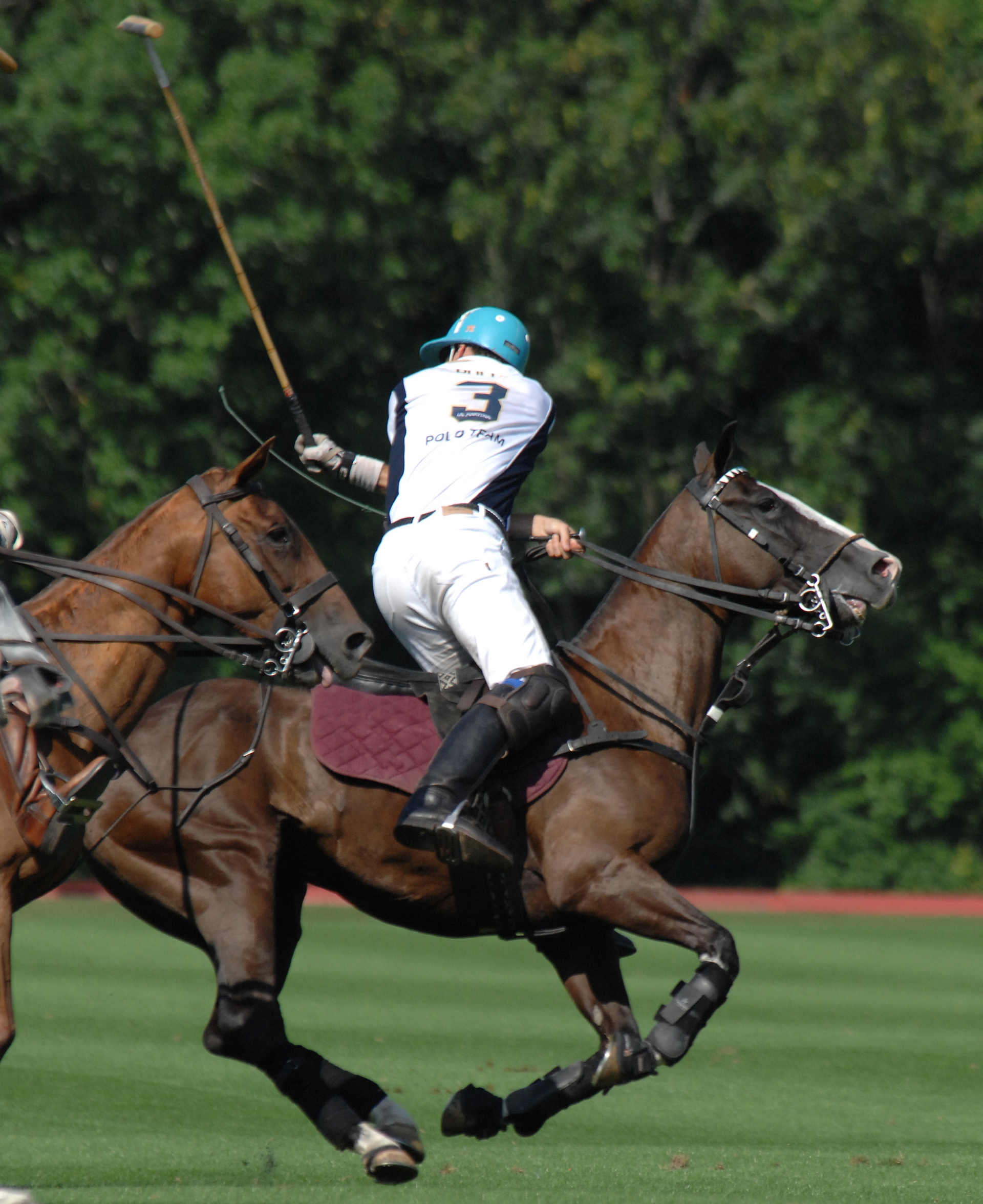 Free download high resolution image - free image free photo free stock image public domain picture -polo player swinging at ball