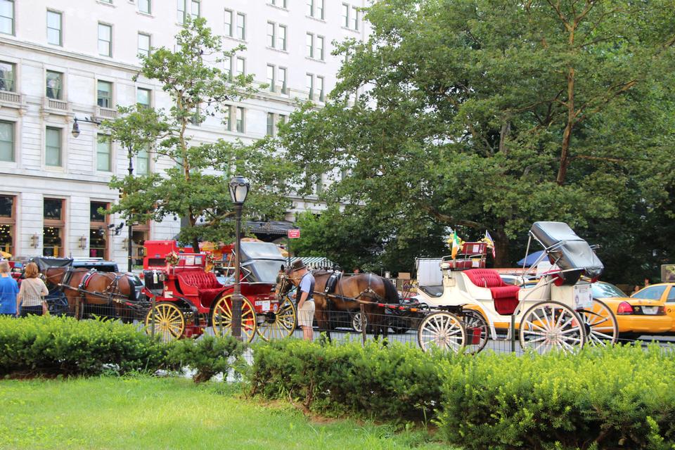 Free download high resolution image - free image free photo free stock image public domain picture  Horse and carriage at Central Park, New York City