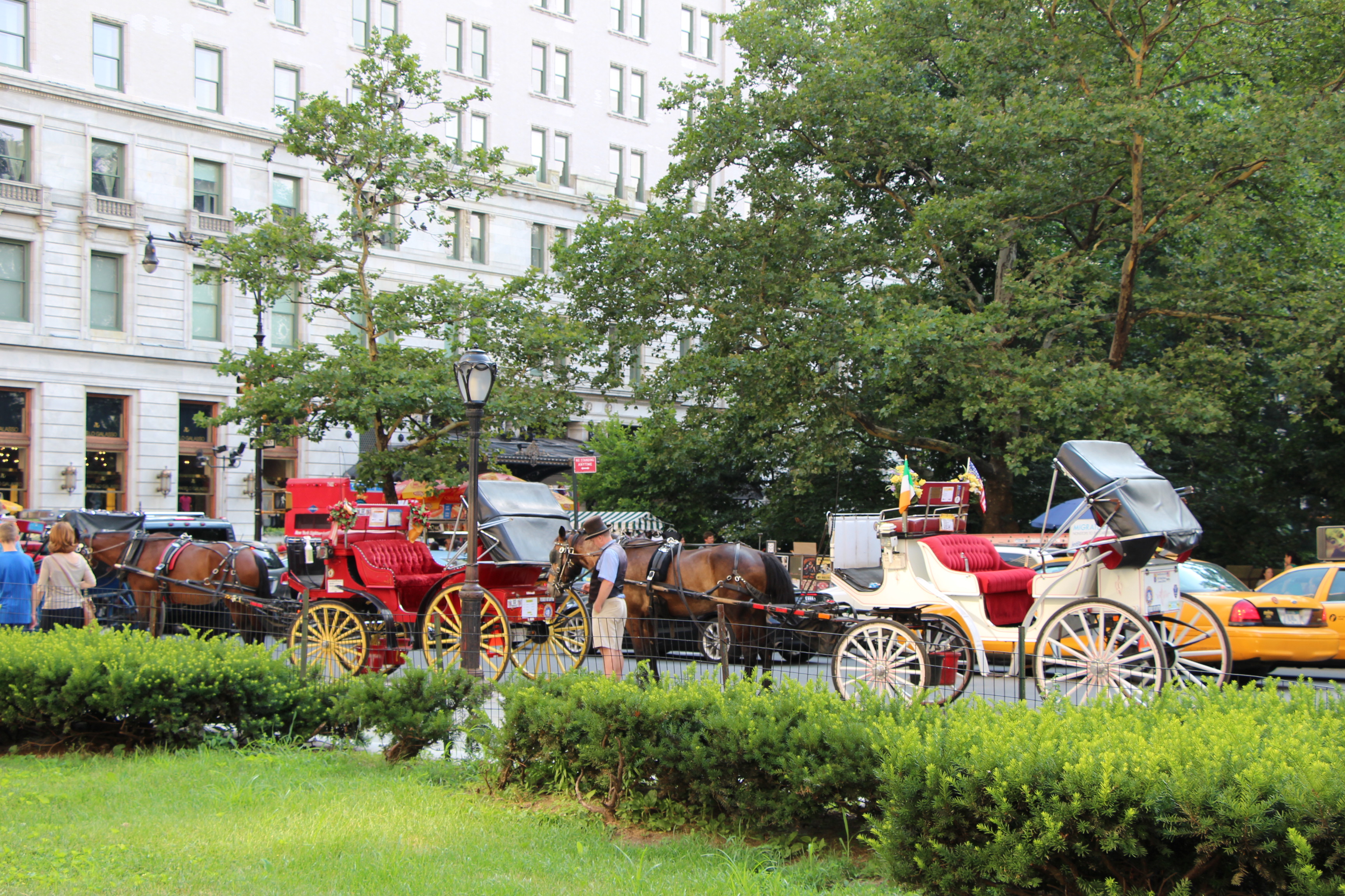 Free download high resolution image - free image free photo free stock image public domain picture -Horse and carriage at Central Park, New York City