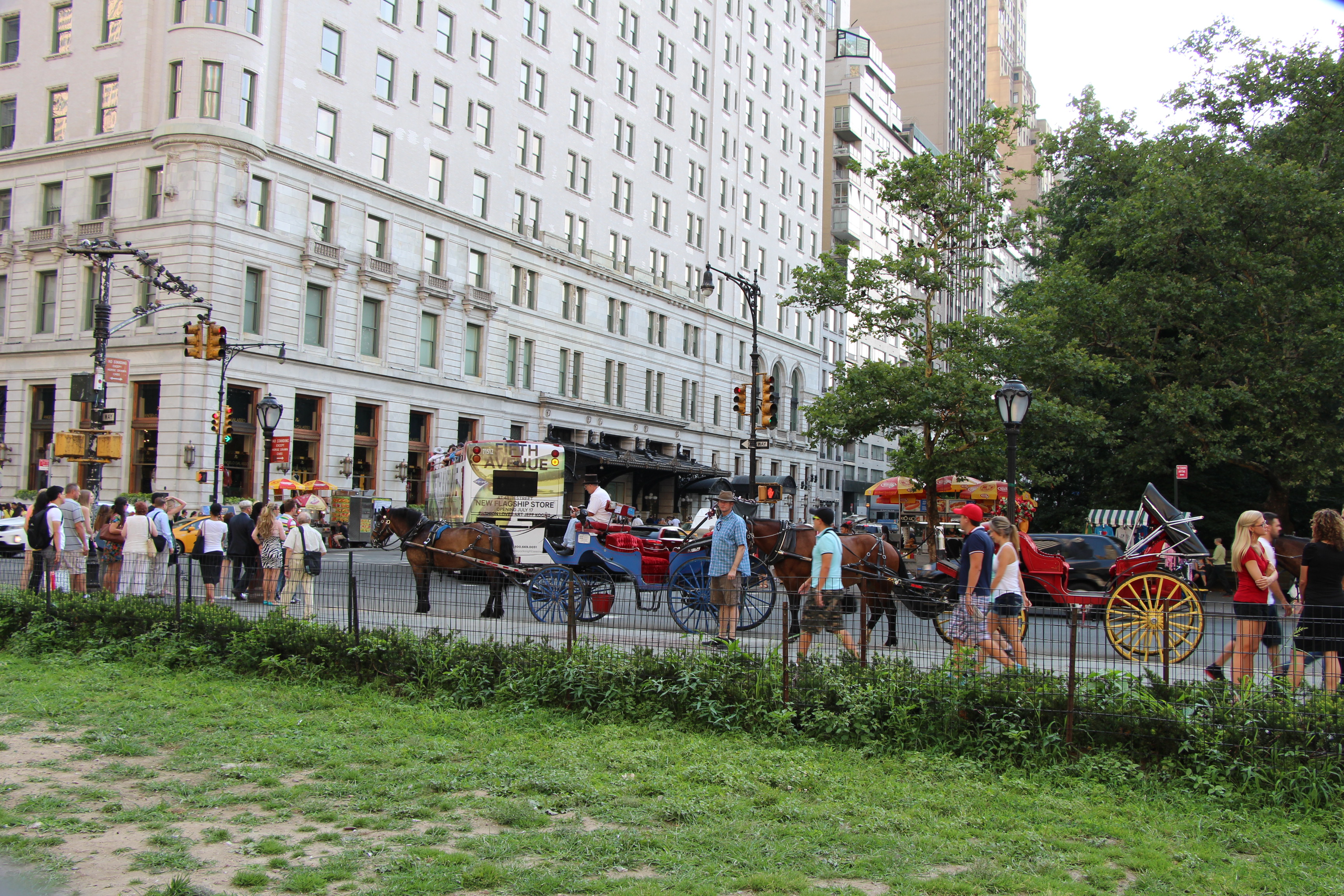 Free download high resolution image - free image free photo free stock image public domain picture -Horse and carriage at Central Park, New York City