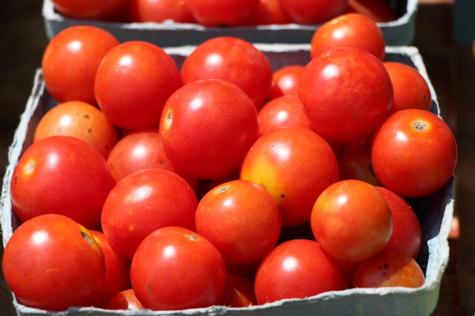 Free download high resolution image - free image free photo free stock image public domain picture  fresh organic red tomatoes