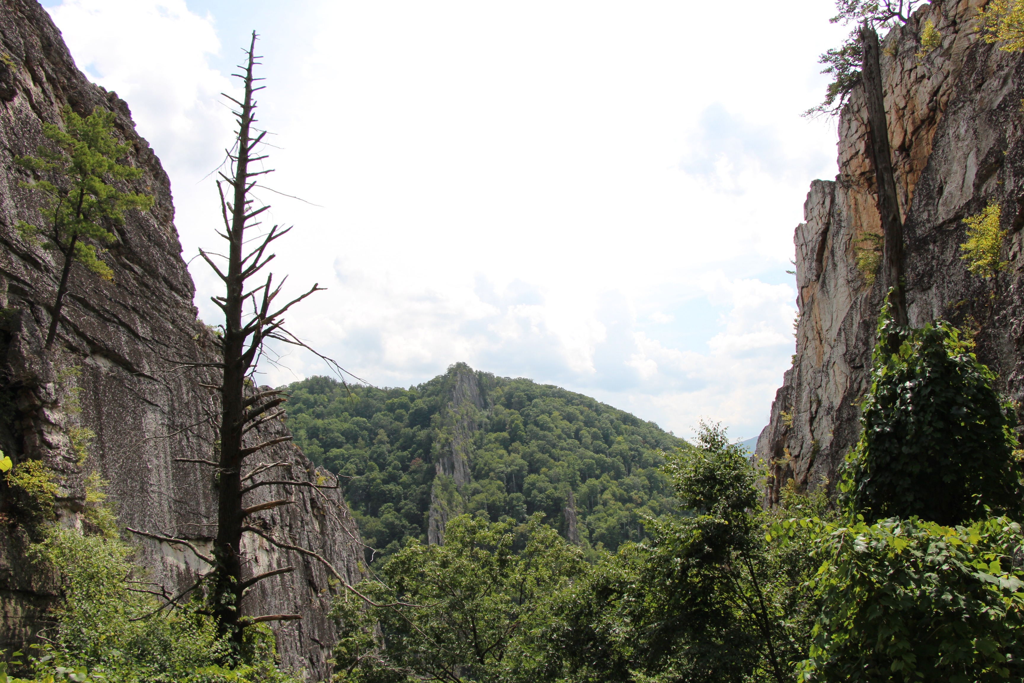 Free download high resolution image - free image free photo free stock image public domain picture -Nelson Rocks West Virginia