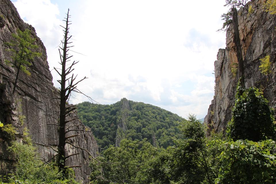 Free download high resolution image - free image free photo free stock image public domain picture  Nelson Rocks West Virginia