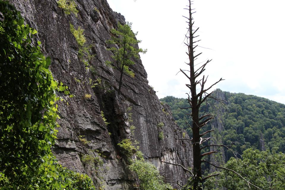 Free download high resolution image - free image free photo free stock image public domain picture  Nelson Rocks West Virginia