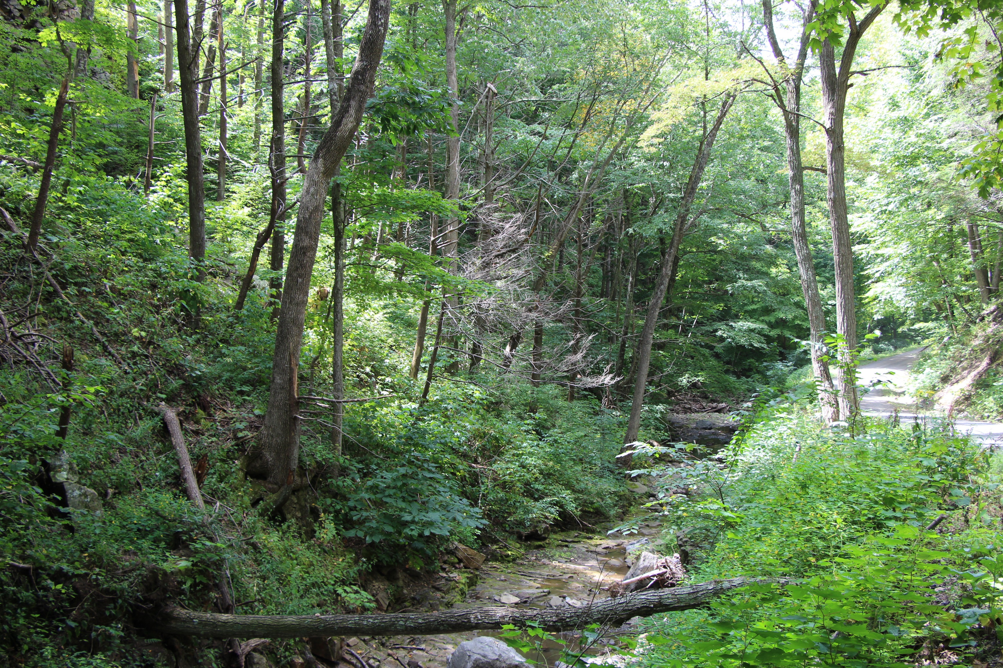 Free download high resolution image - free image free photo free stock image public domain picture -Nelson Rocks West Virginia