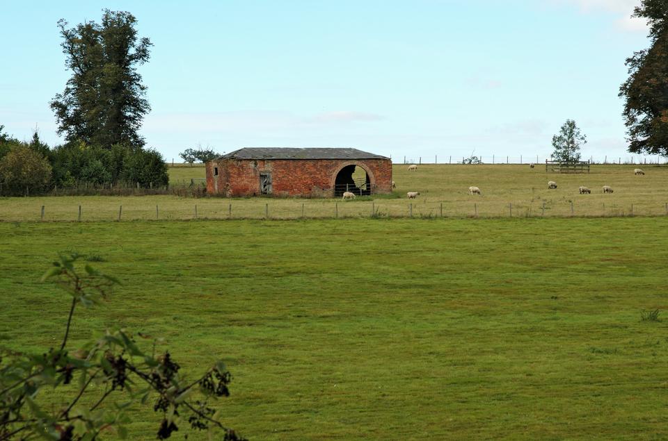 Free download high resolution image - free image free photo free stock image public domain picture  Sheep Farm