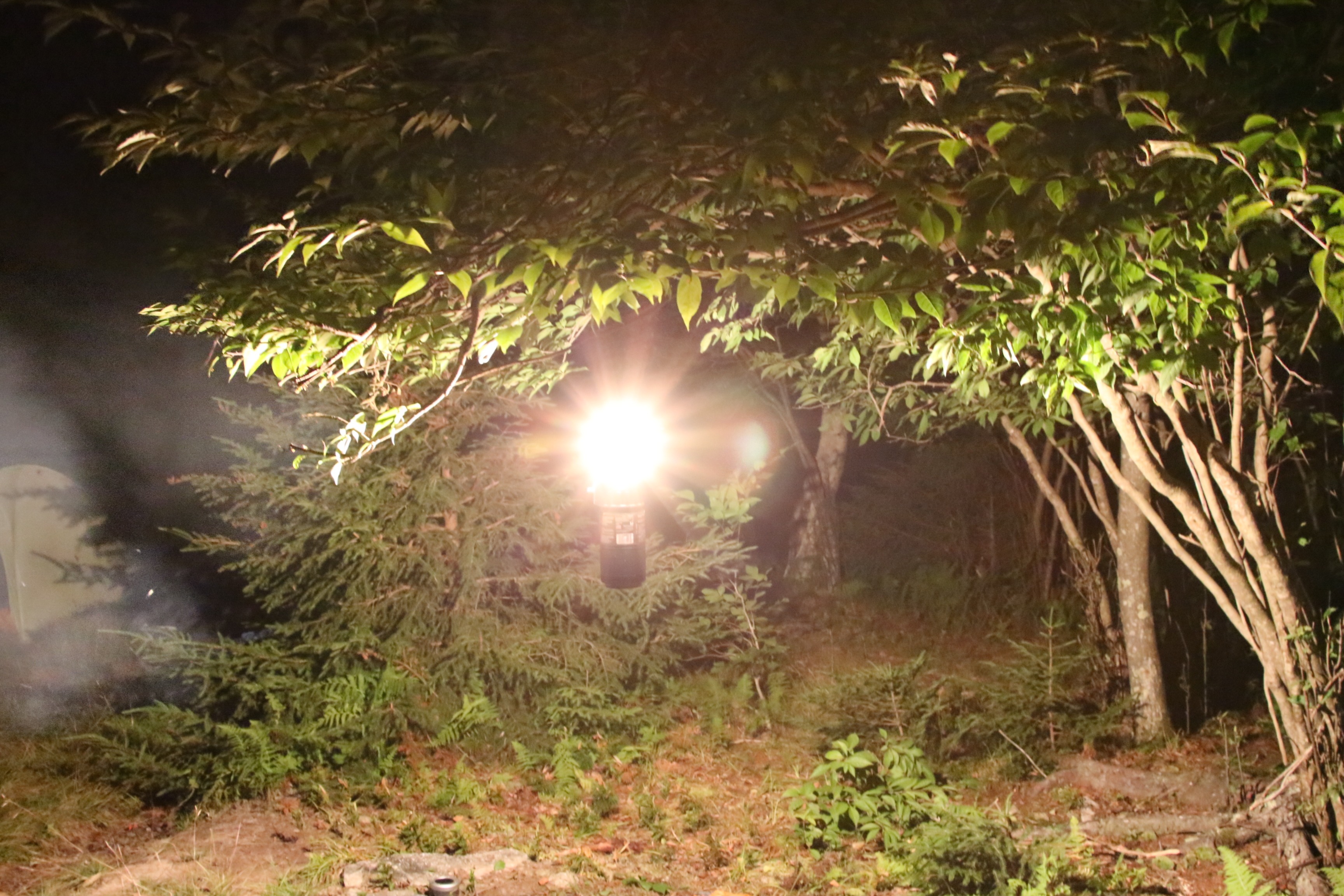 Free download high resolution image - free image free photo free stock image public domain picture -Gas lamp in night forest for camping