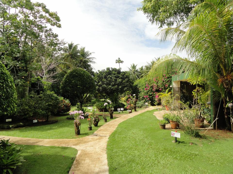 Free download high resolution image - free image free photo free stock image public domain picture  Sankyo Garden, Guam