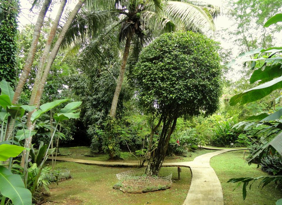 Free download high resolution image - free image free photo free stock image public domain picture  Sankyo Garden, Guam