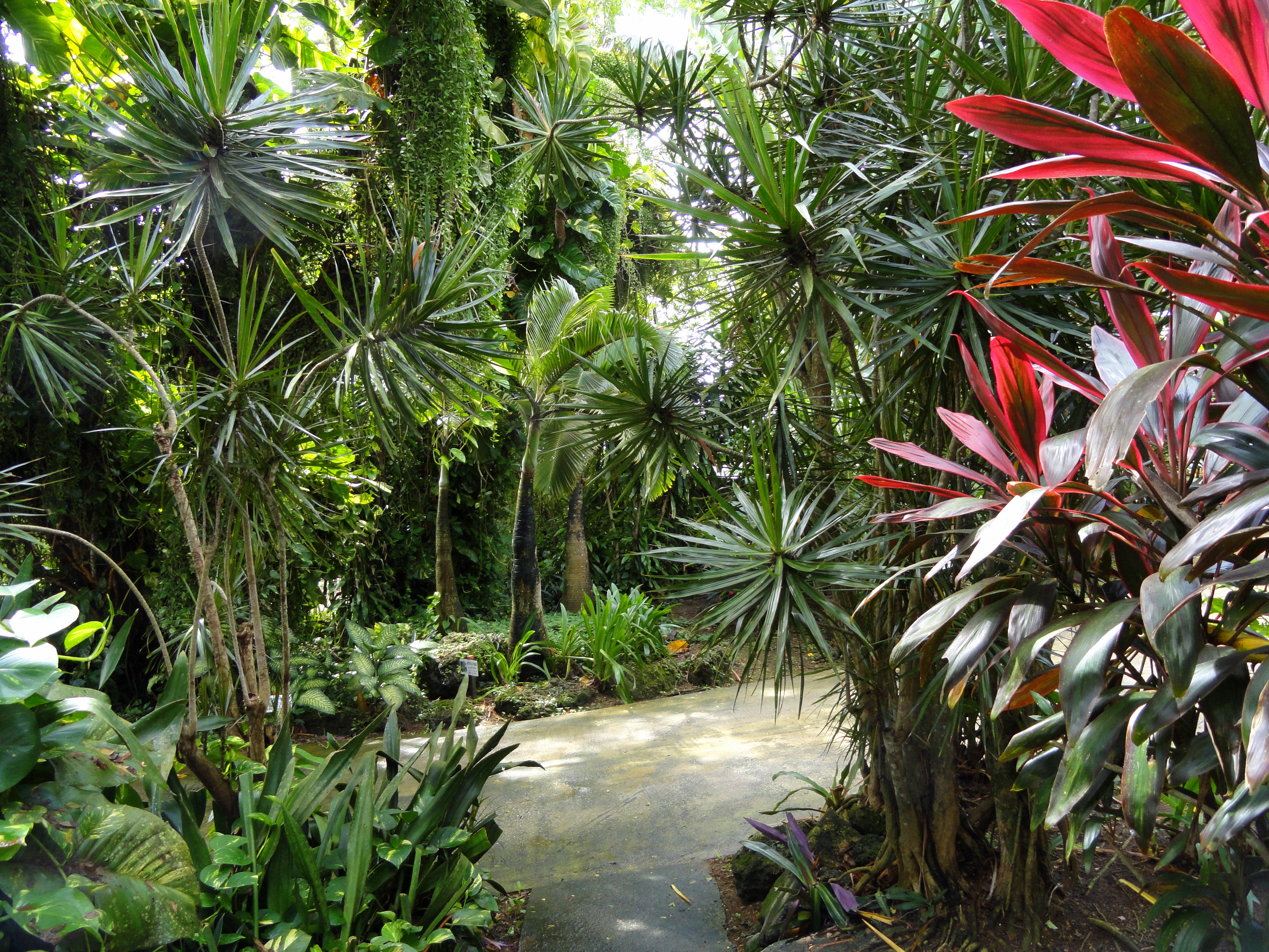 Free download high resolution image - free image free photo free stock image public domain picture -Sankyo Garden, Guam