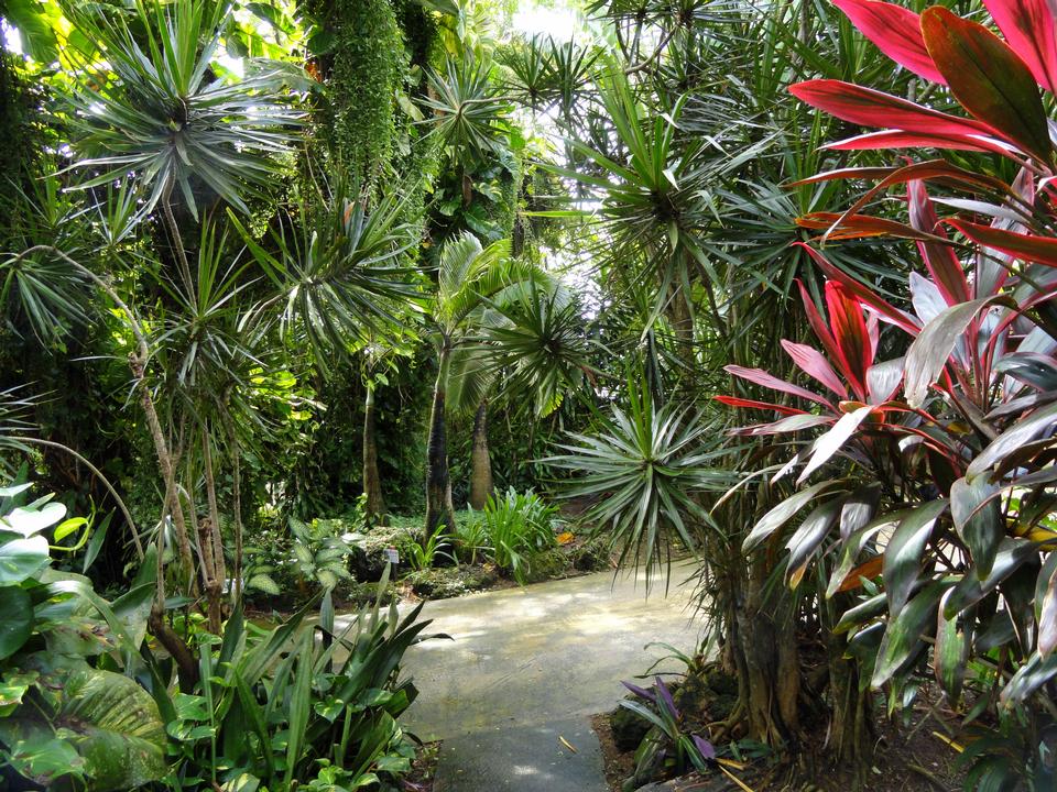 Free download high resolution image - free image free photo free stock image public domain picture  Sankyo Garden, Guam