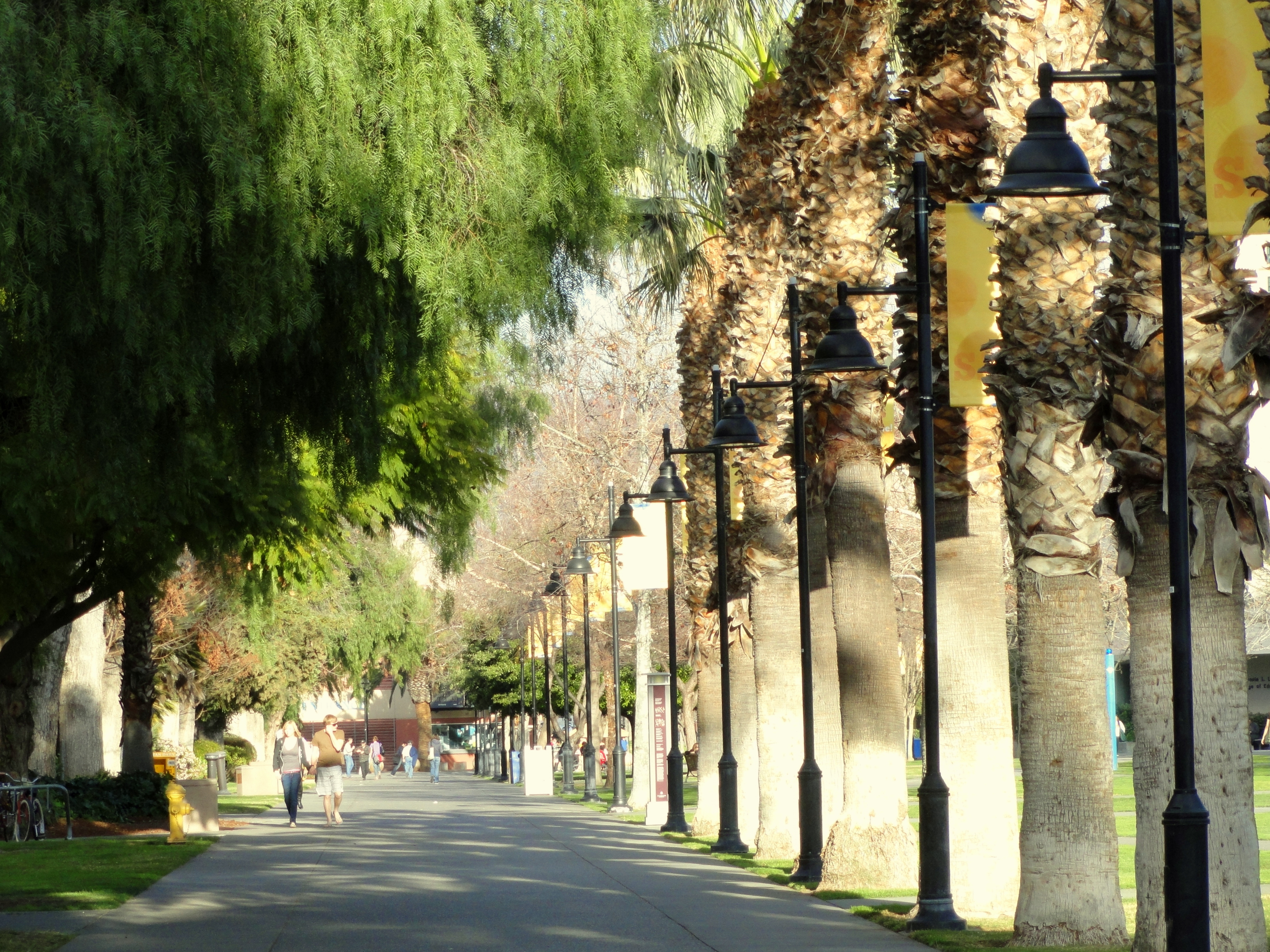 Free download high resolution image - free image free photo free stock image public domain picture -San Jose State University, San Jose, California