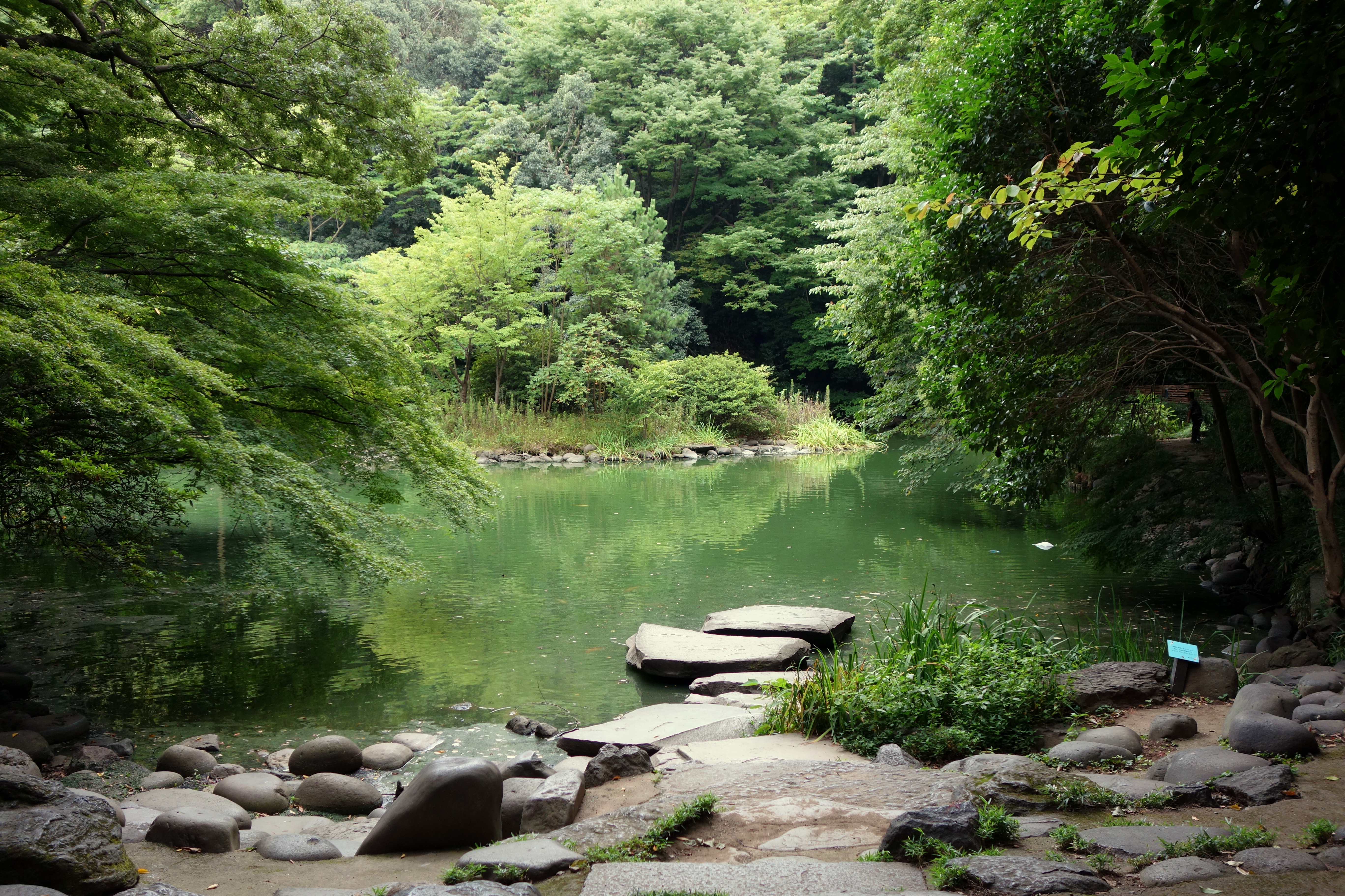 Free download high resolution image - free image free photo free stock image public domain picture -Sanshiro Pond Tokyo, Japan