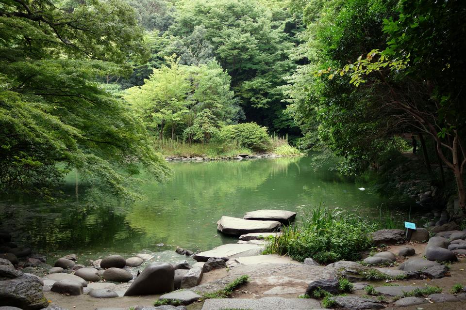 Free download high resolution image - free image free photo free stock image public domain picture  Sanshiro Pond Tokyo, Japan