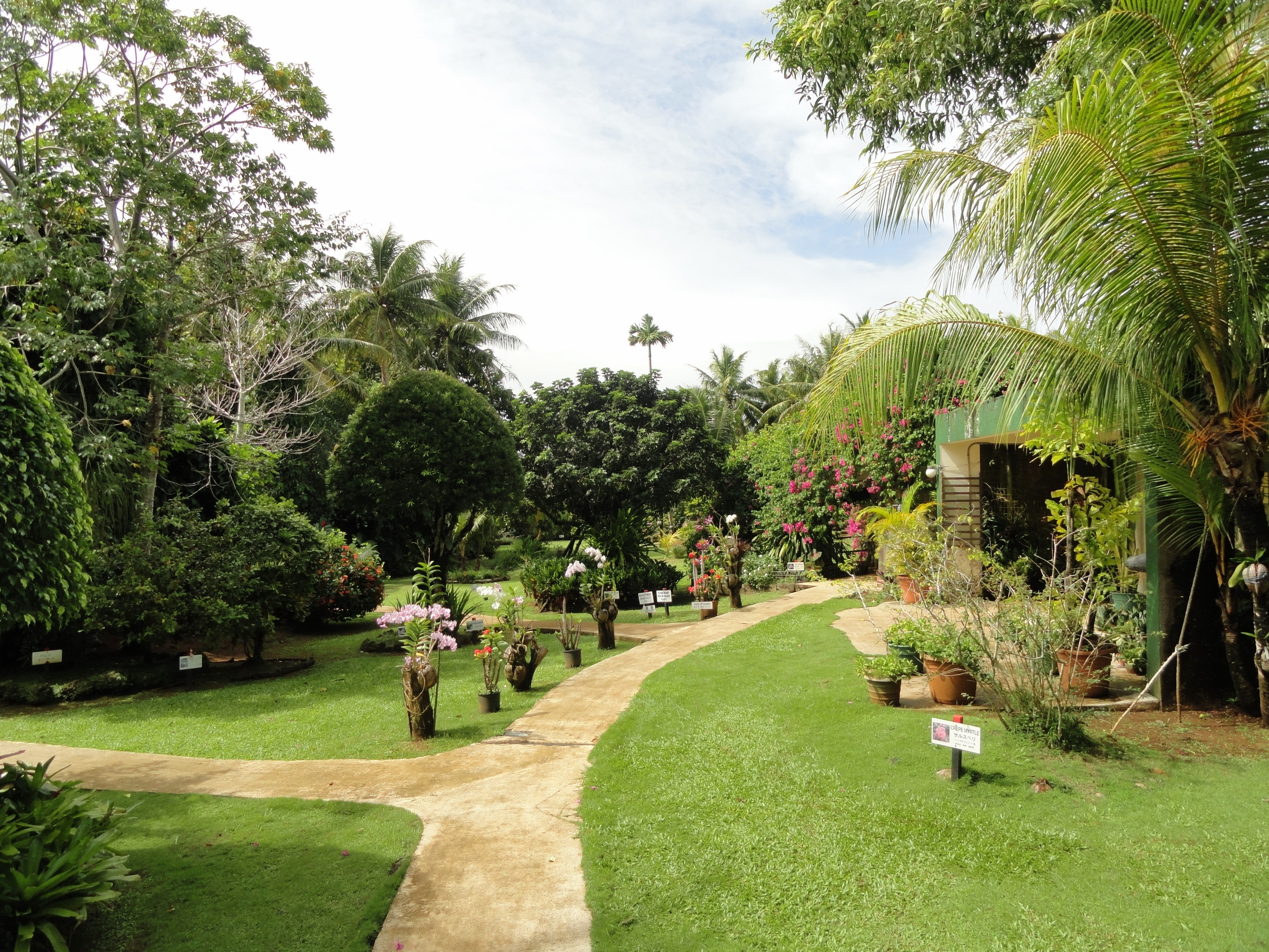 Free download high resolution image - free image free photo free stock image public domain picture -Sankyo Garden, Guam