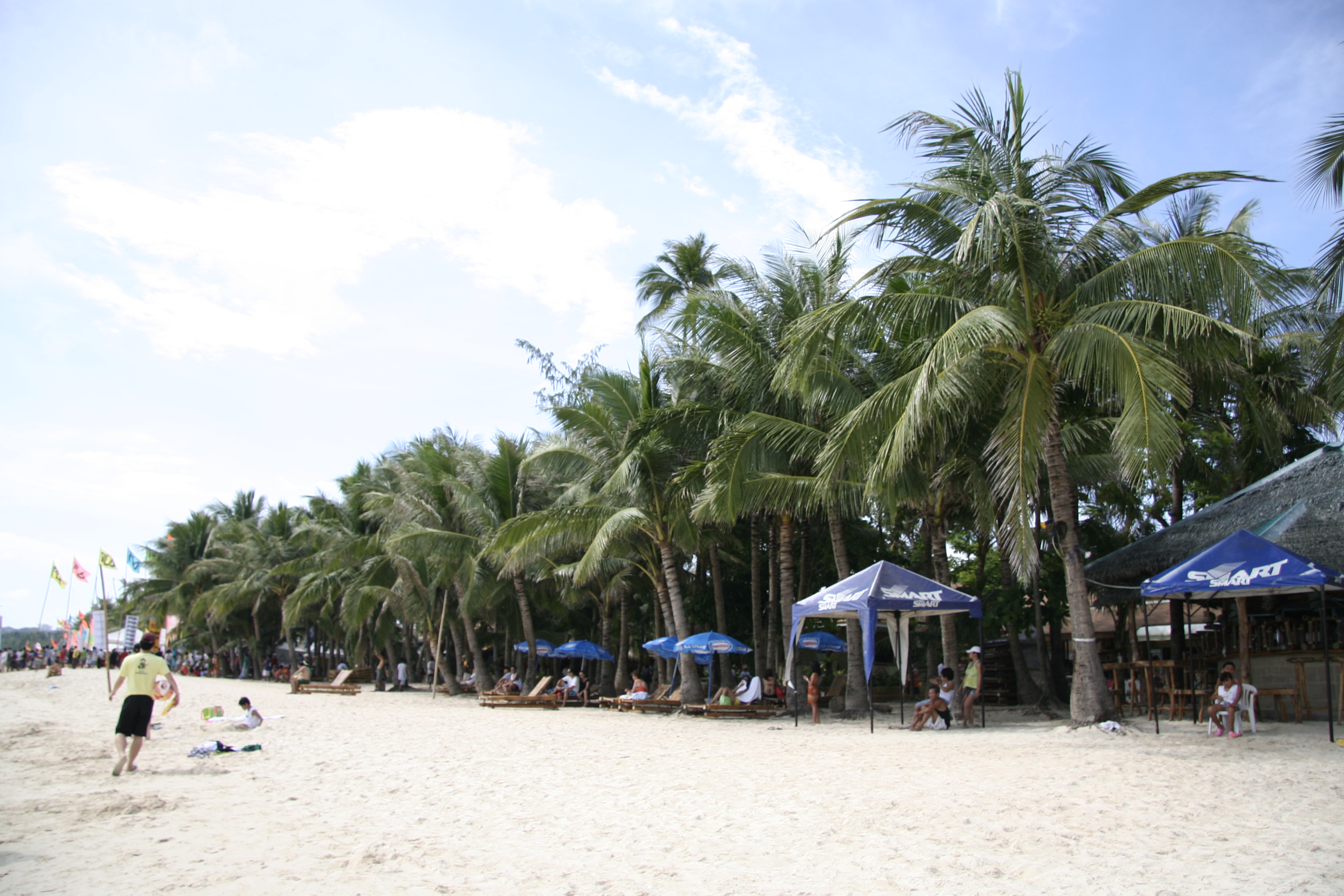 Free download high resolution image - free image free photo free stock image public domain picture -Beautiful palm on beach with white sand, tropical nature