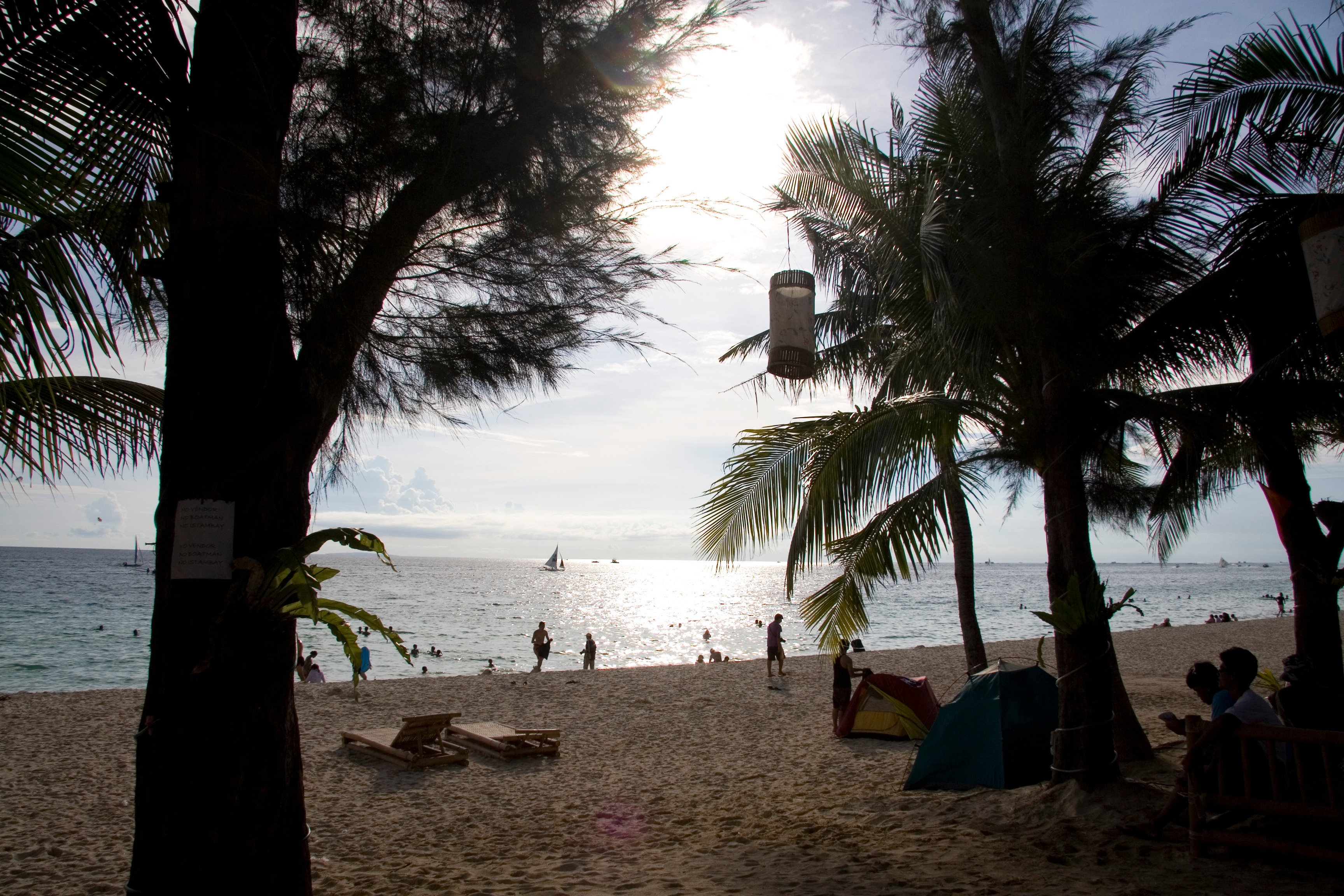 Free download high resolution image - free image free photo free stock image public domain picture -Beautiful palm on beach with white sand, tropical nature