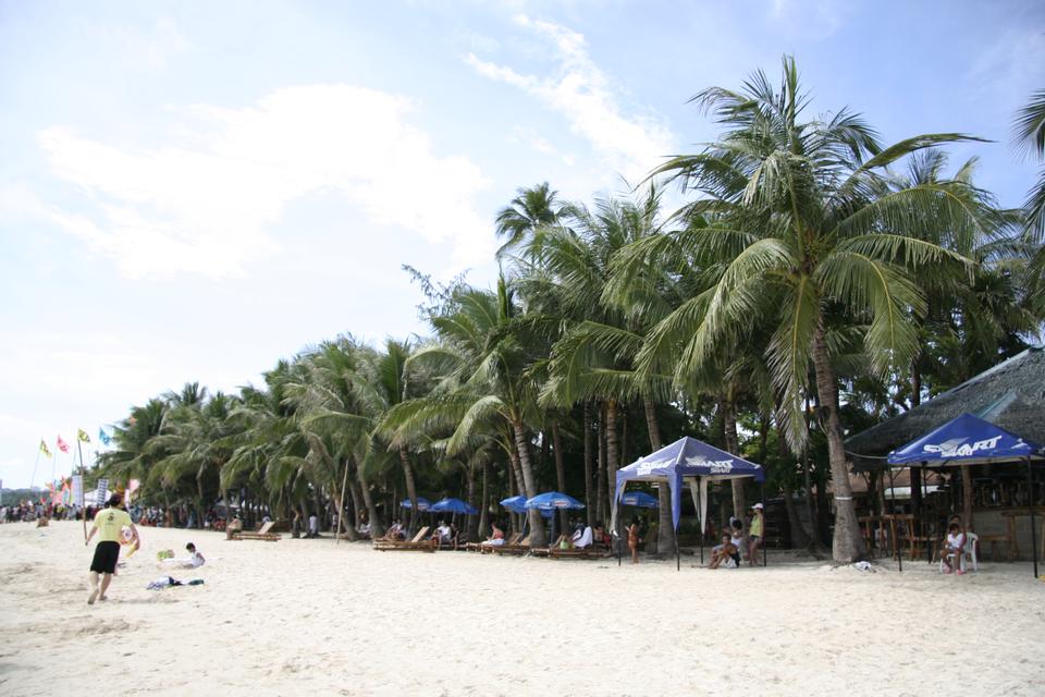 Free download high resolution image - free image free photo free stock image public domain picture  Beautiful palm on beach with white sand, tropical nature