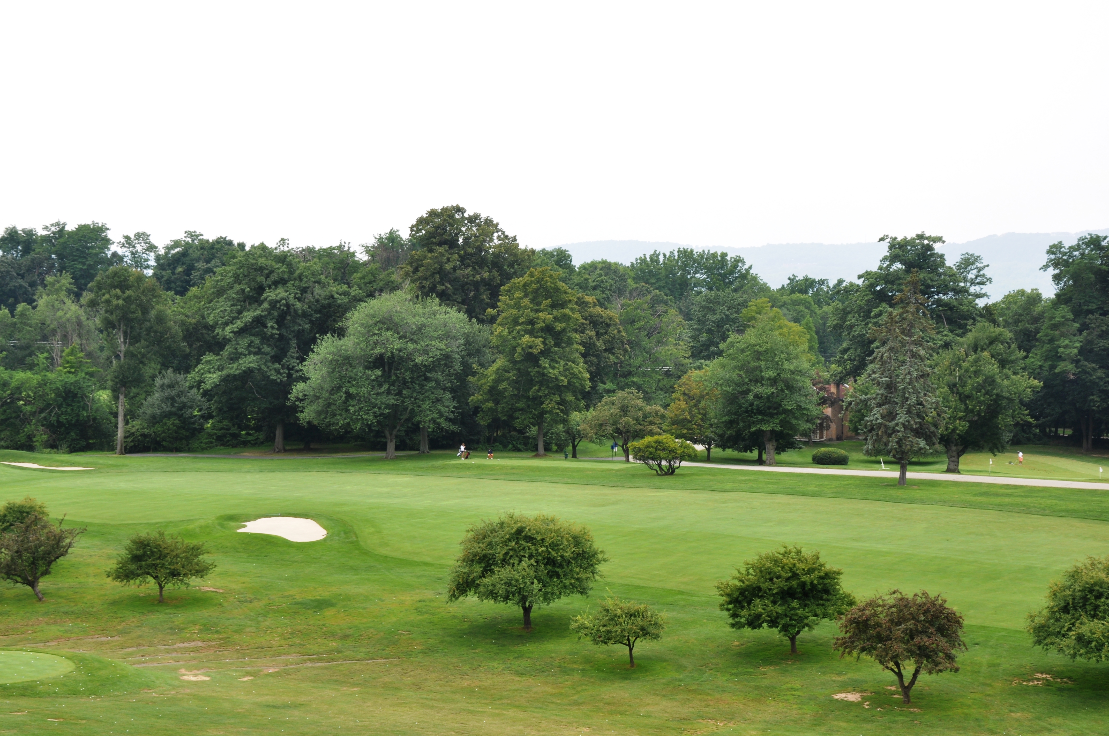 Free download high resolution image - free image free photo free stock image public domain picture -golf landscape in spring day