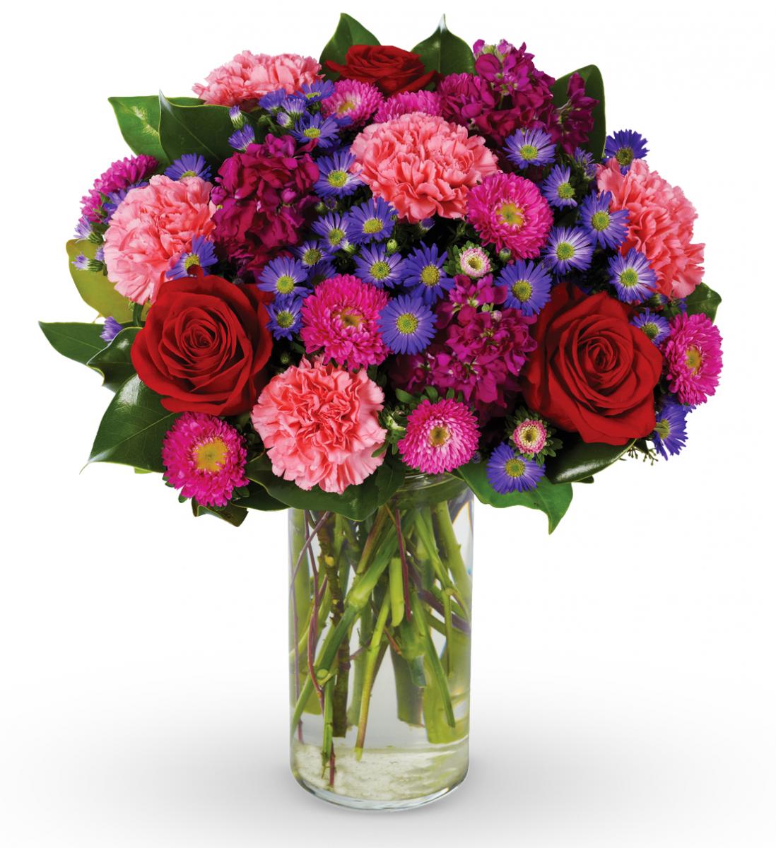 Free download high resolution image - free image free photo free stock image public domain picture -Send Online Flowers To Surat