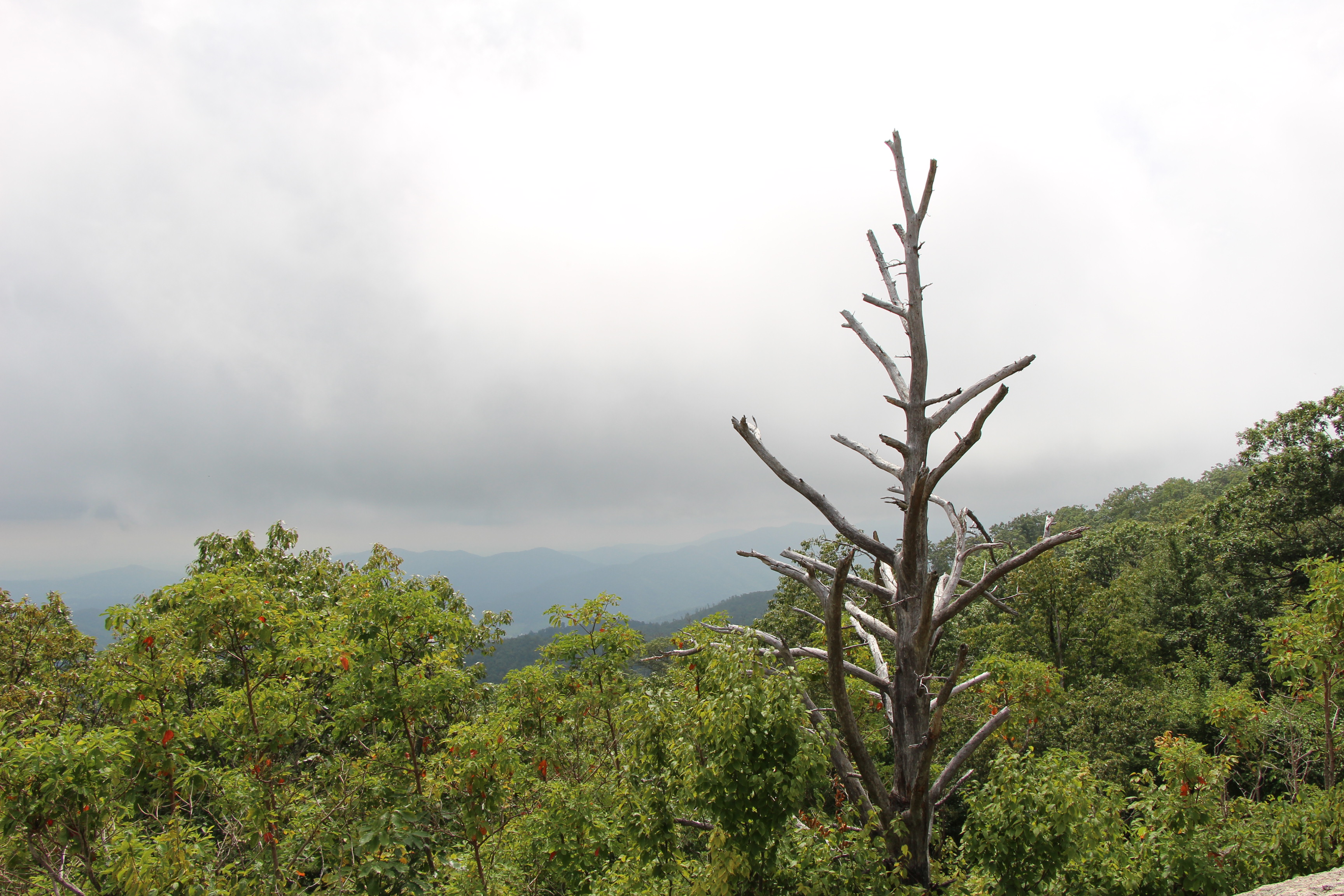 Free download high resolution image - free image free photo free stock image public domain picture -Views over valley in the Shenandoah on a climb of Old Rag