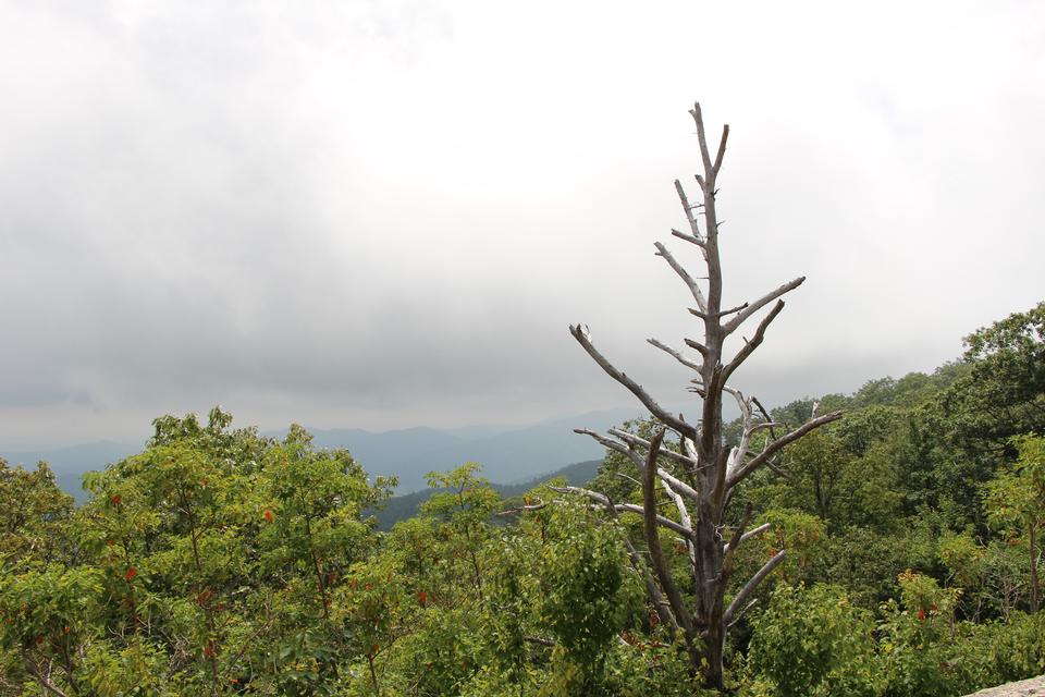 Free download high resolution image - free image free photo free stock image public domain picture  Views over valley in the Shenandoah on a climb of Old Rag