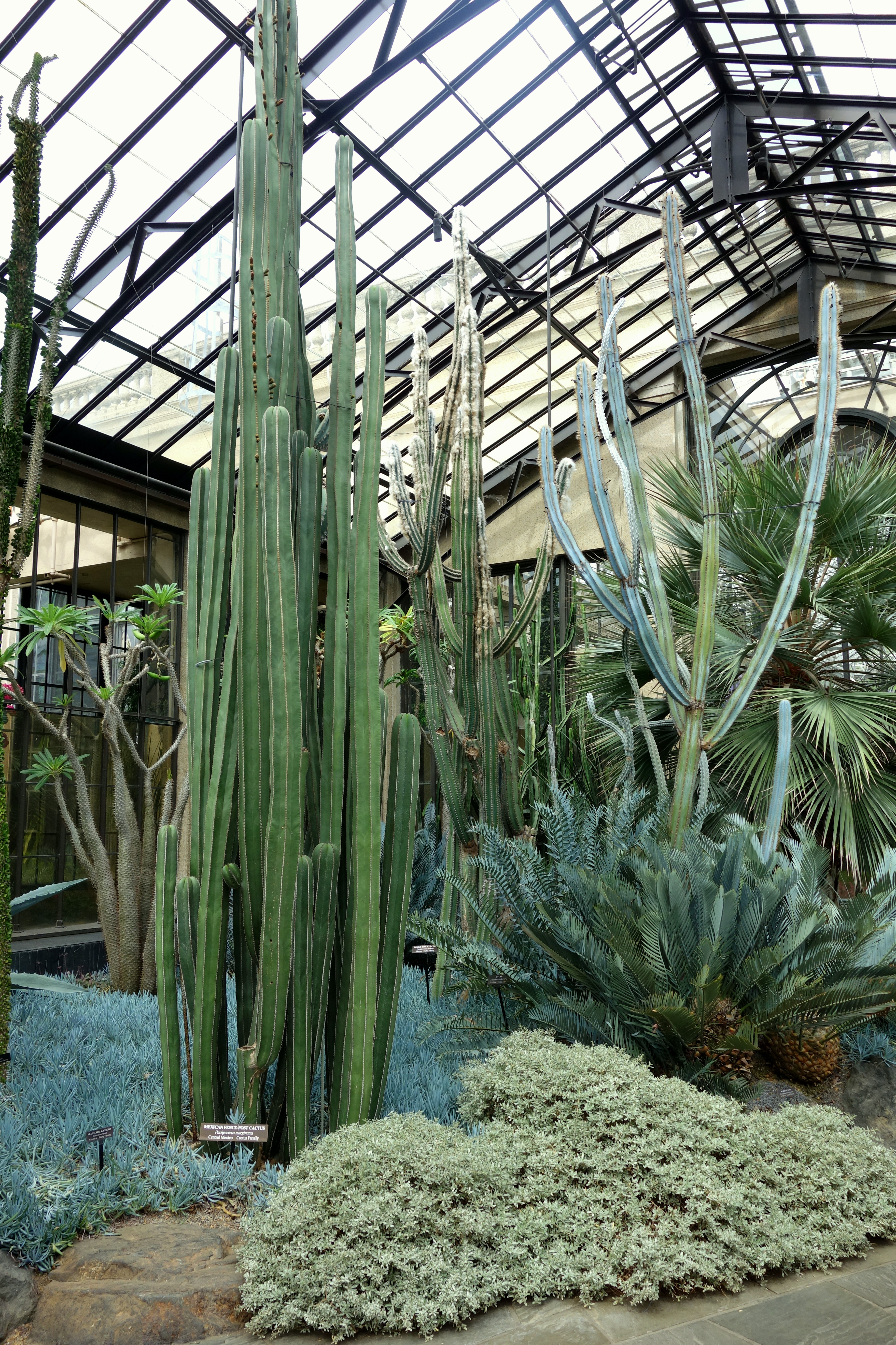 Free download high resolution image - free image free photo free stock image public domain picture -Silver Garden in Longwood Gardens