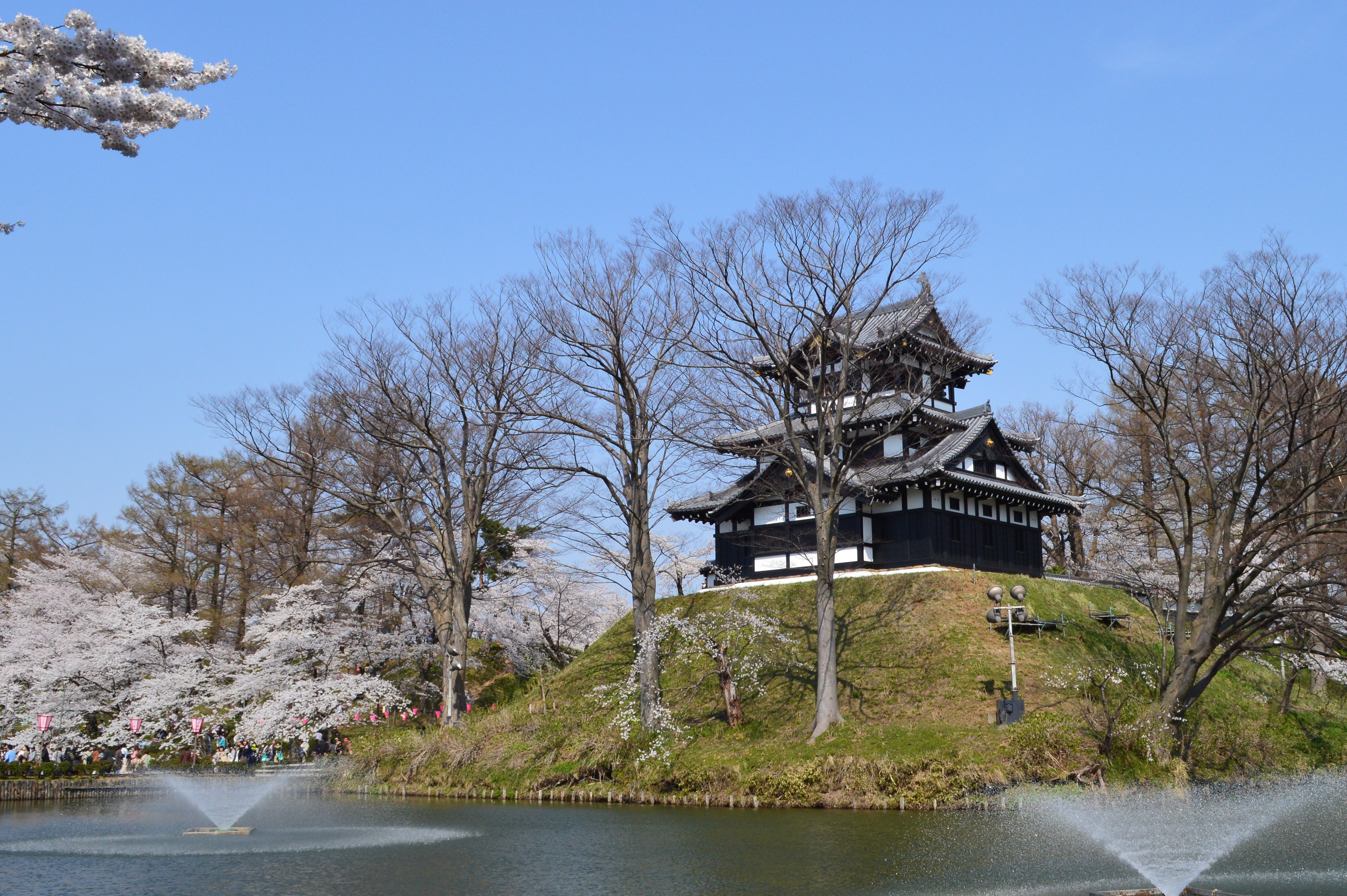 Free download high resolution image - free image free photo free stock image public domain picture -Cherry blossom in Takada Castle, Niigata, Japan