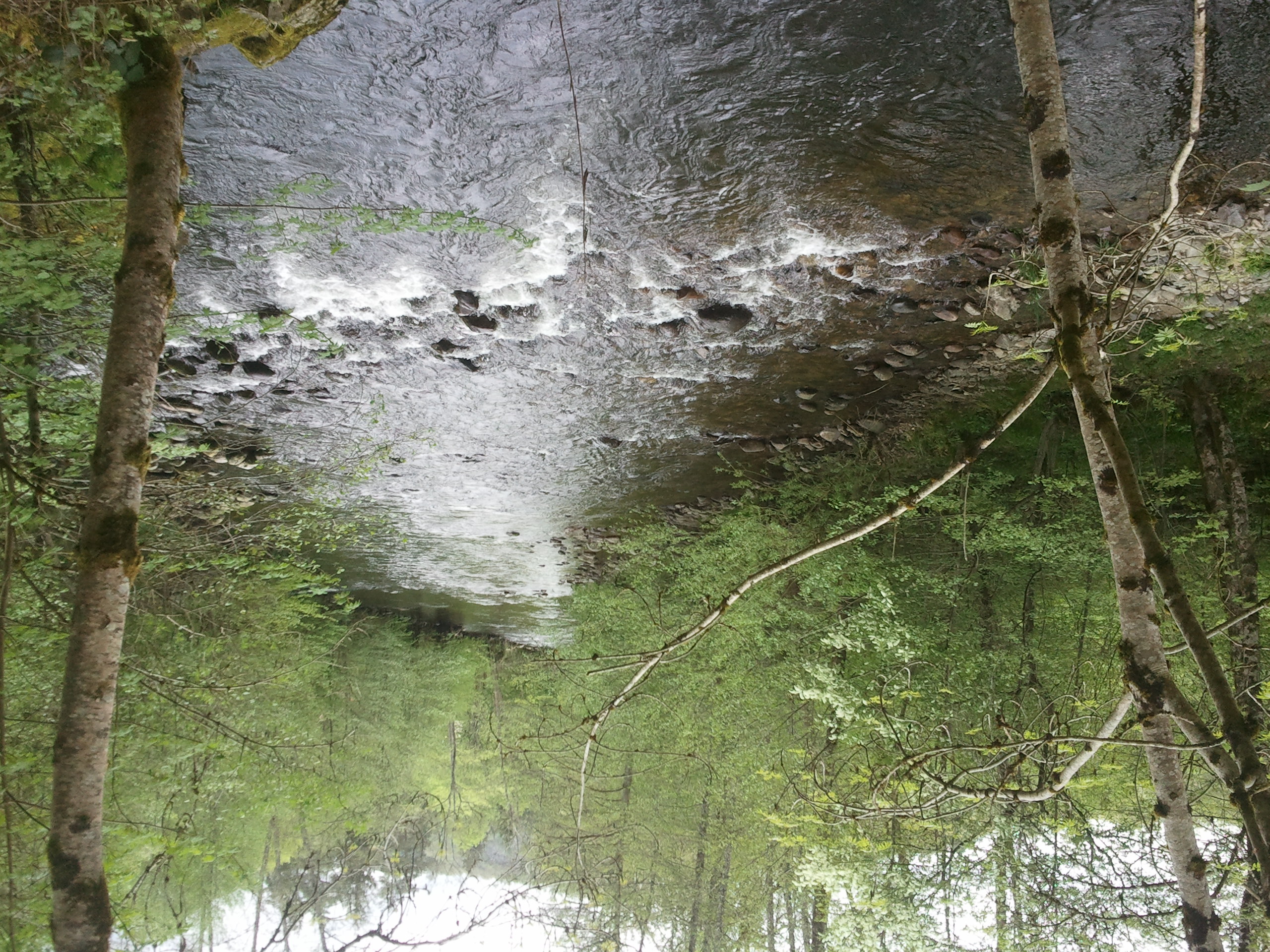 Free download high resolution image - free image free photo free stock image public domain picture -Water of a brook in early summer