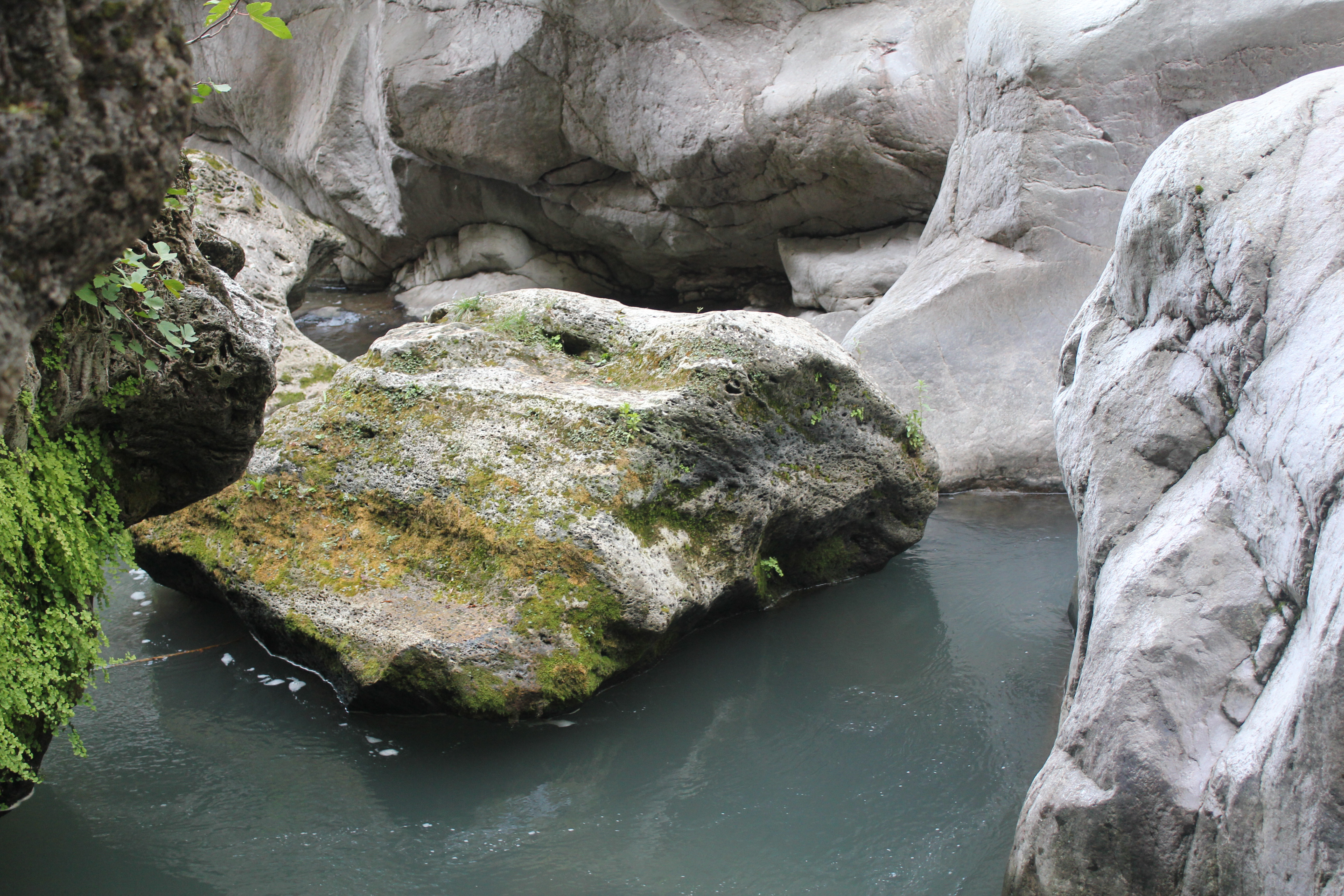 Free download high resolution image - free image free photo free stock image public domain picture -Clean, quiet water stream