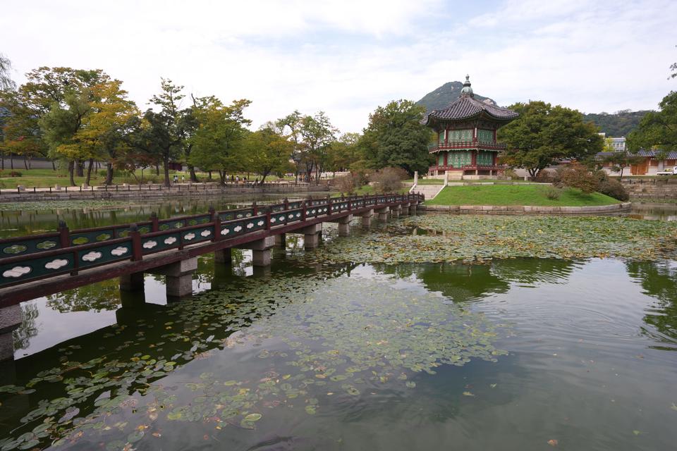 Free download high resolution image - free image free photo free stock image public domain picture  Gyeongbokgung Palace in Autumn, Seoul, South Korea