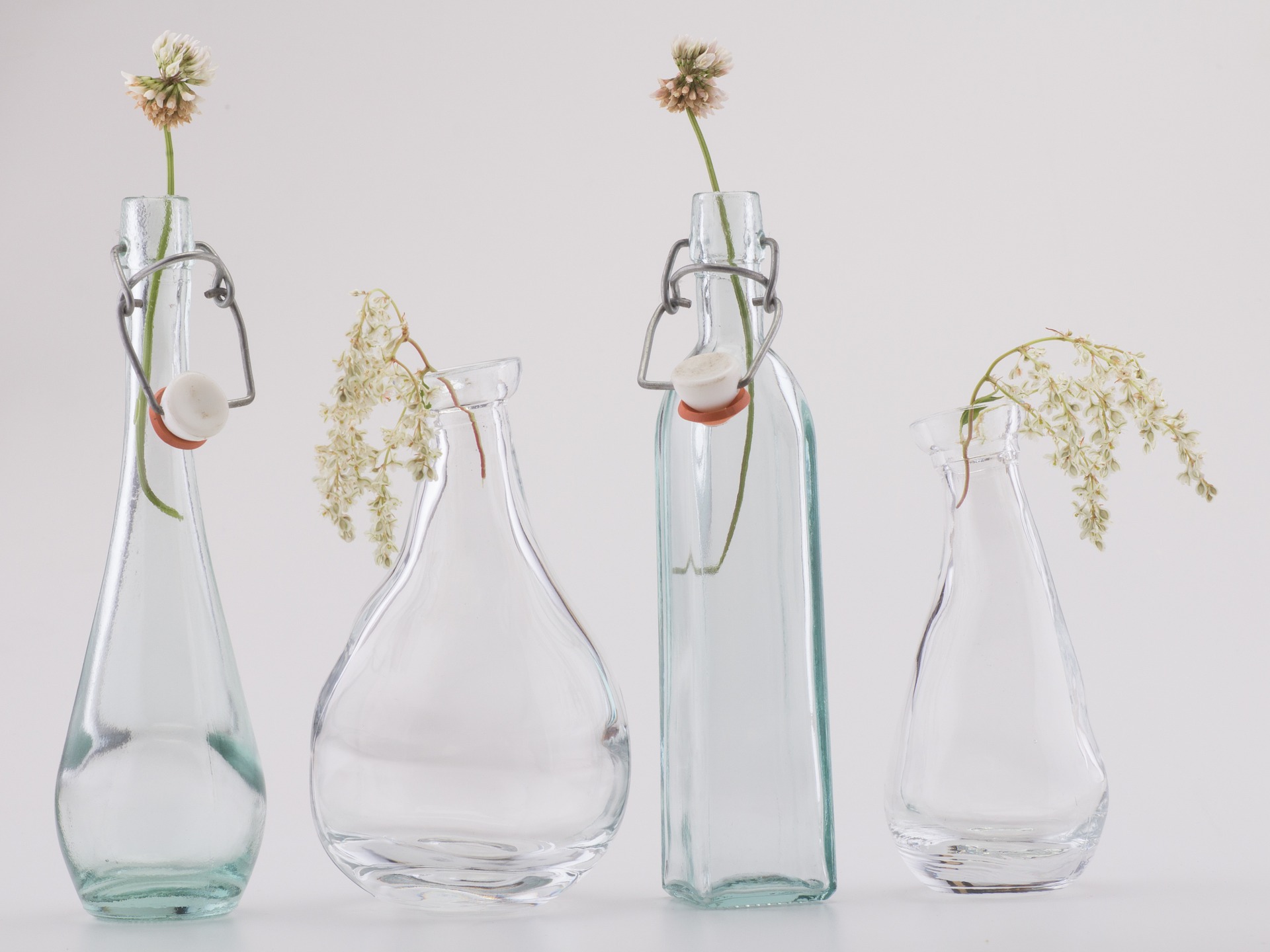 Free download high resolution image - free image free photo free stock image public domain picture -Still life with flowers in glass bottle