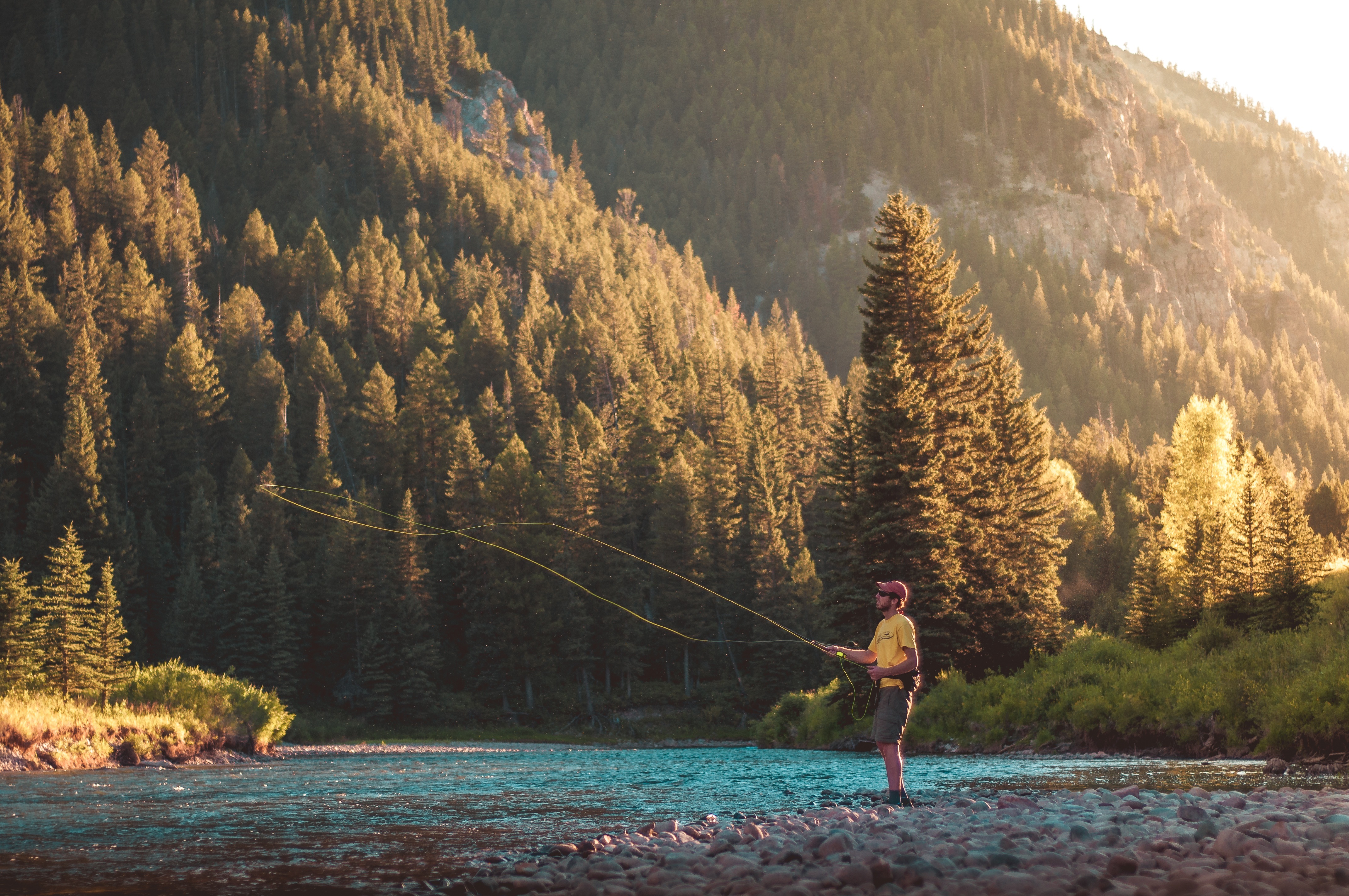 Free download high resolution image - free image free photo free stock image public domain picture -fly fishing angler makes cast