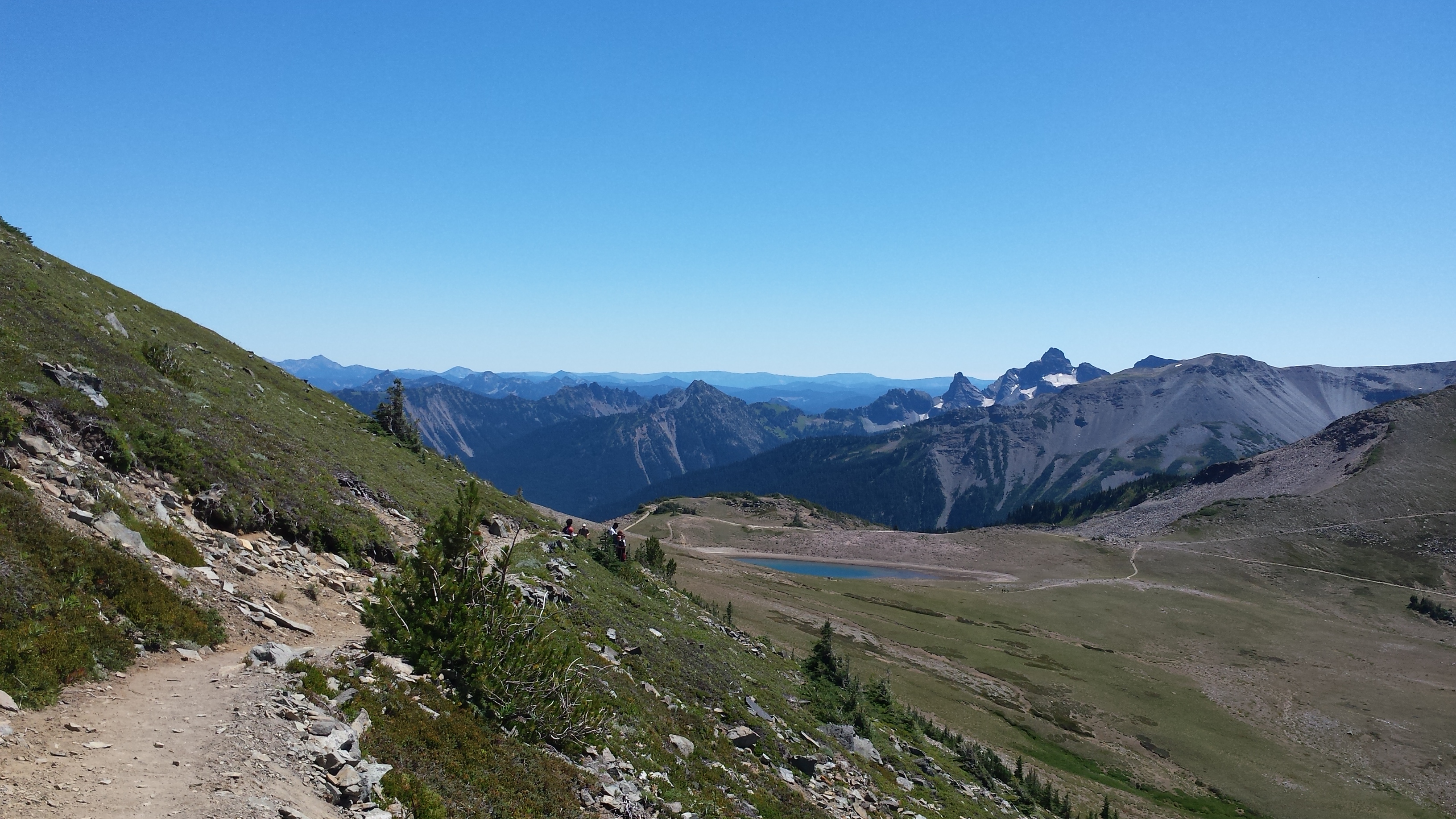 Free download high resolution image - free image free photo free stock image public domain picture -Mount Rainier National Park