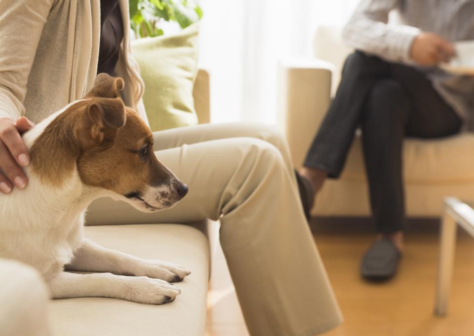 Free download high resolution image - free image free photo free stock image public domain picture  Family and dog in living room