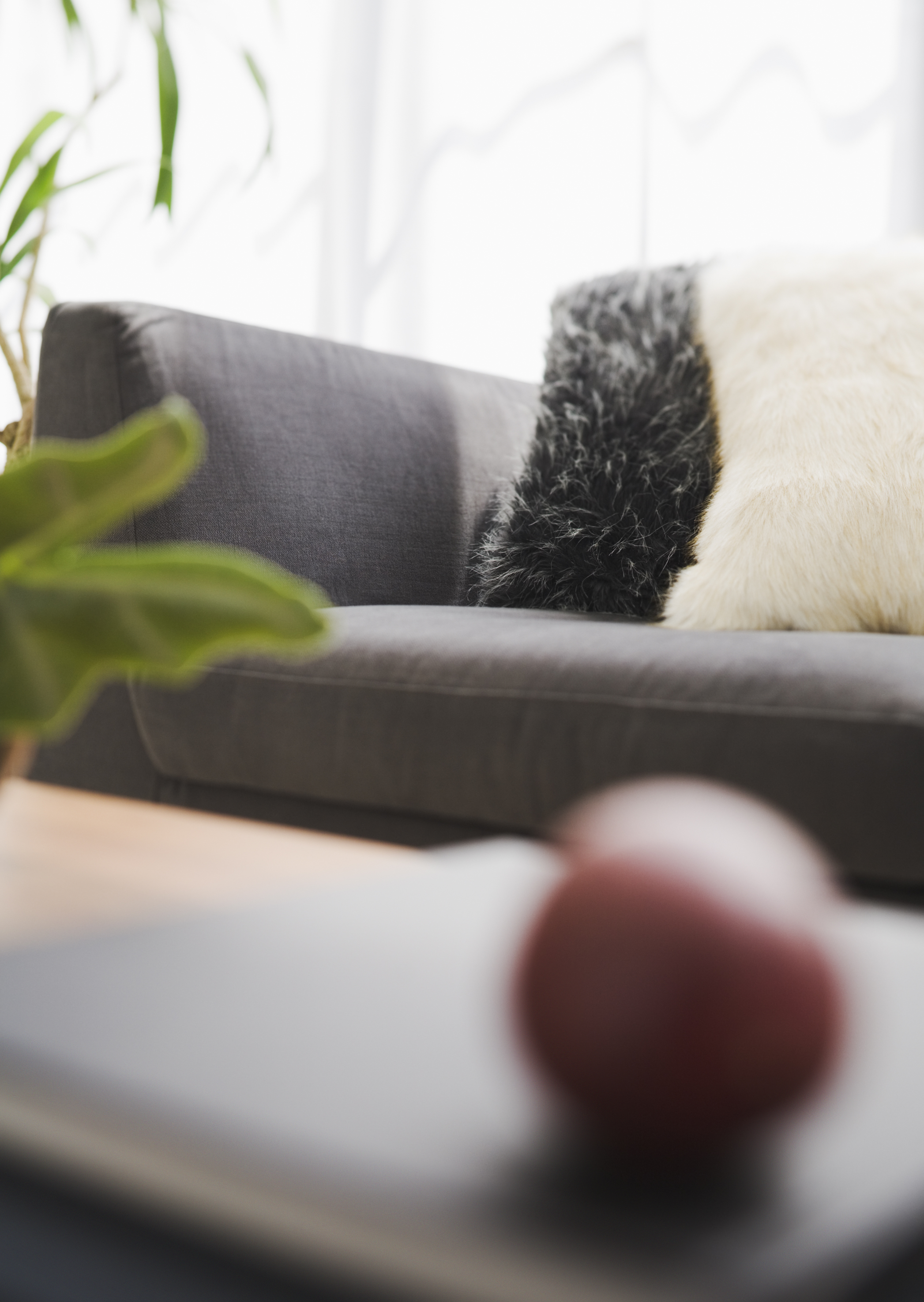 Free download high resolution image - free image free photo free stock image public domain picture -Living room interior with plant